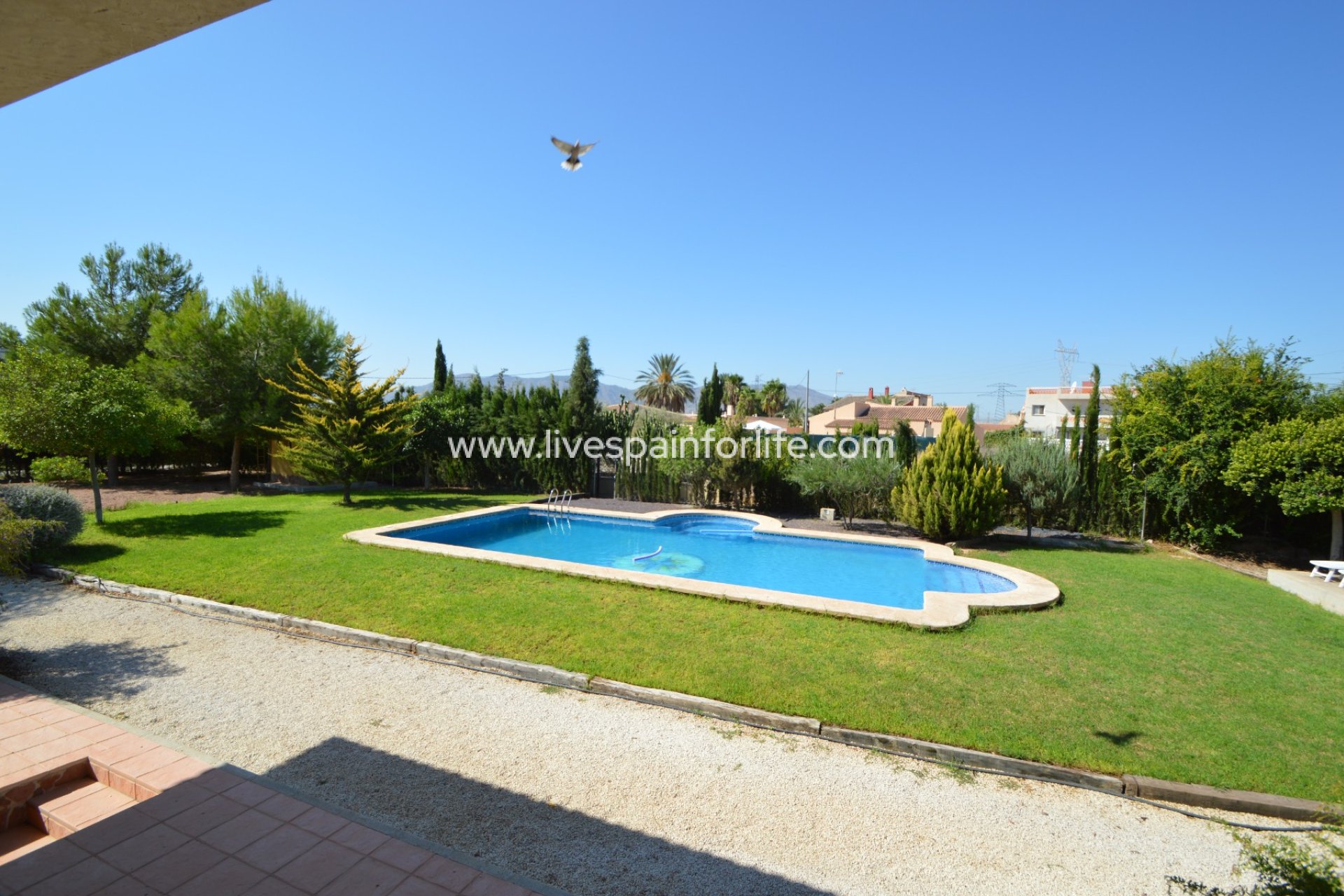 Reventa - Country house -
Callosa De Segura - Callosa de Segura