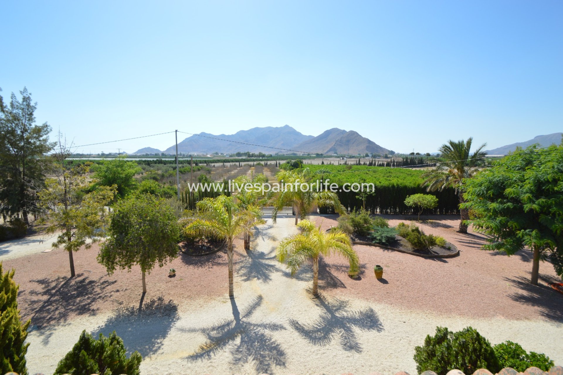 Reventa - Country house -
Callosa De Segura - Callosa de Segura