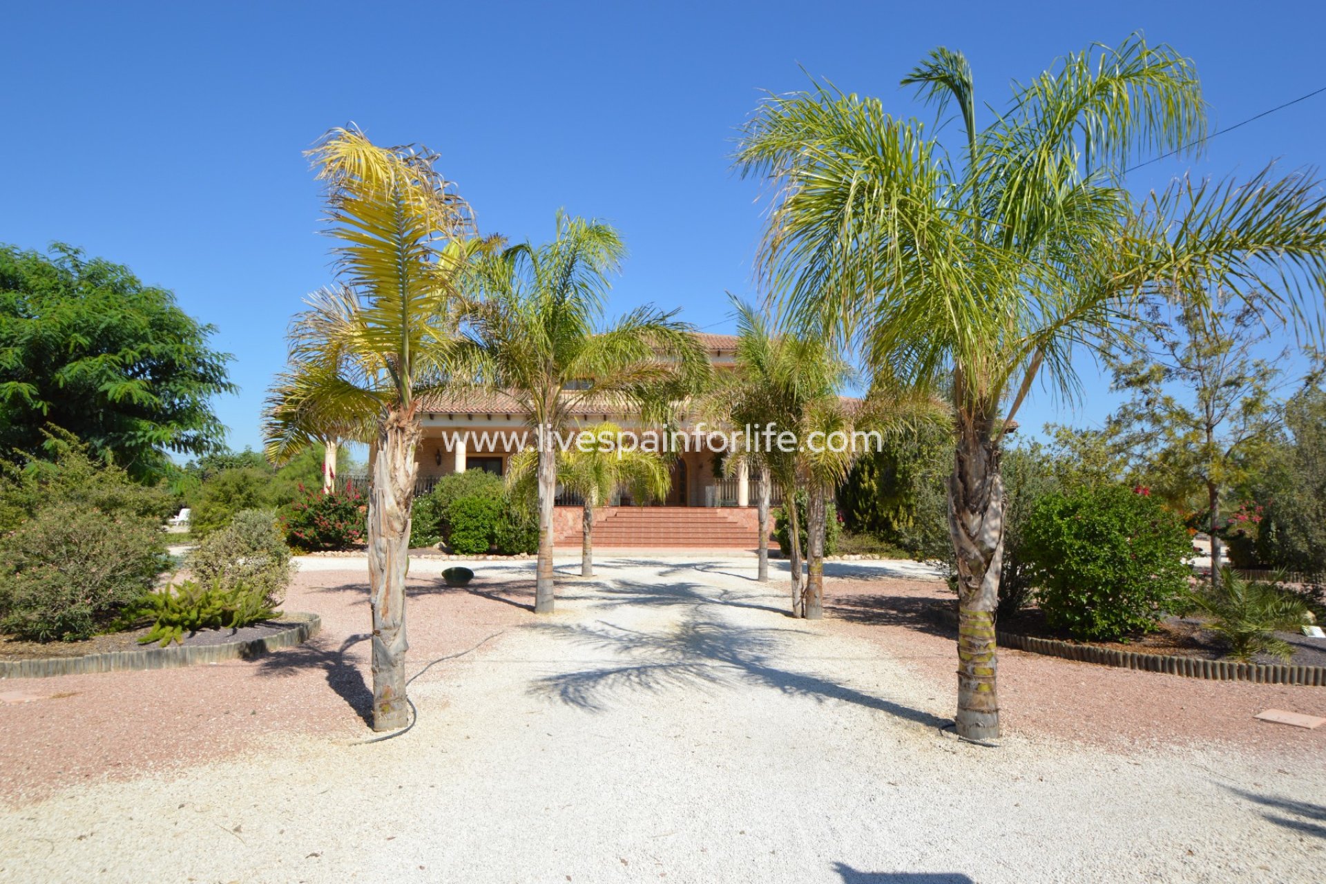 Reventa - Country house -
Callosa De Segura - Callosa de Segura