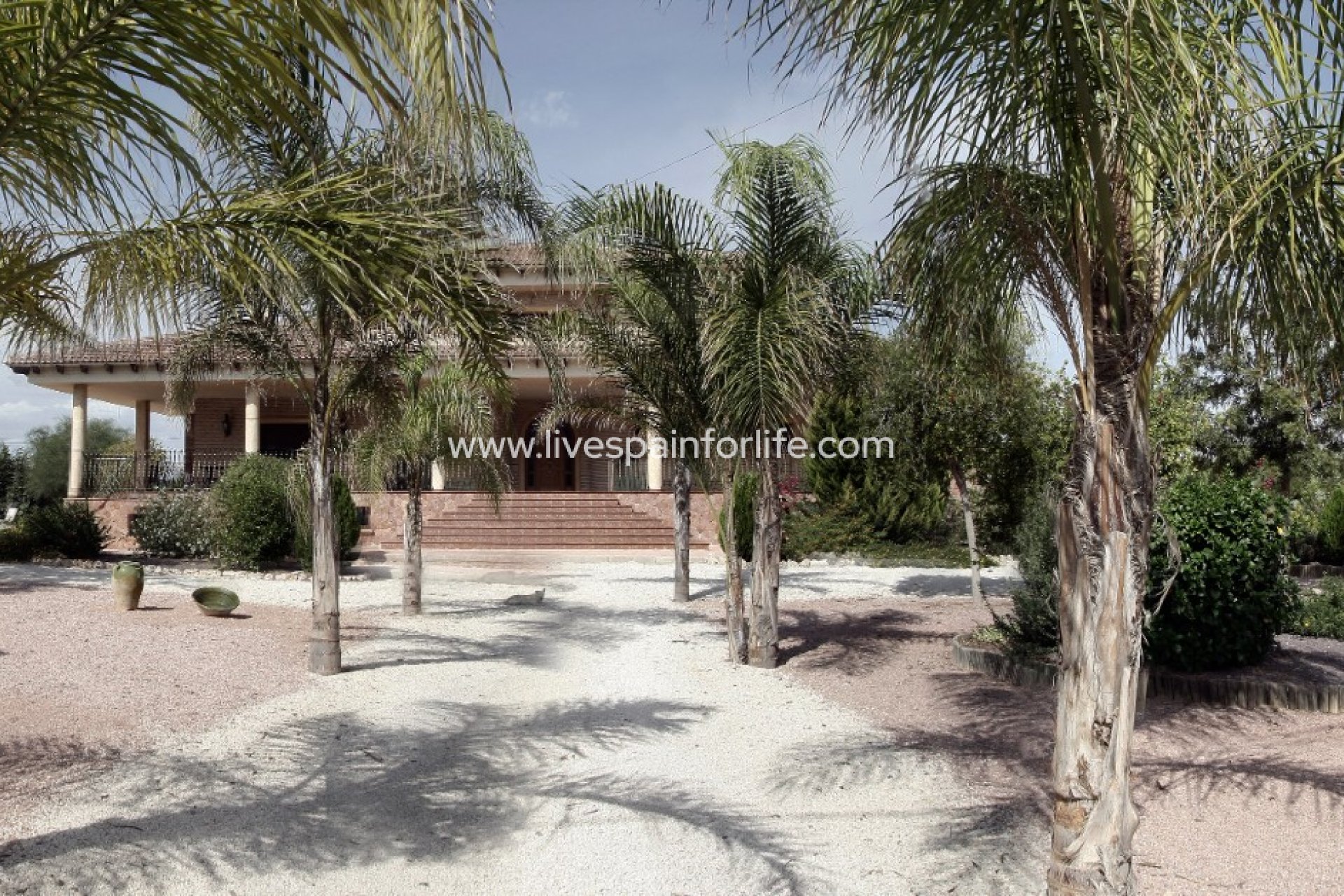 Reventa - Country house -
Callosa De Segura - Callosa de Segura