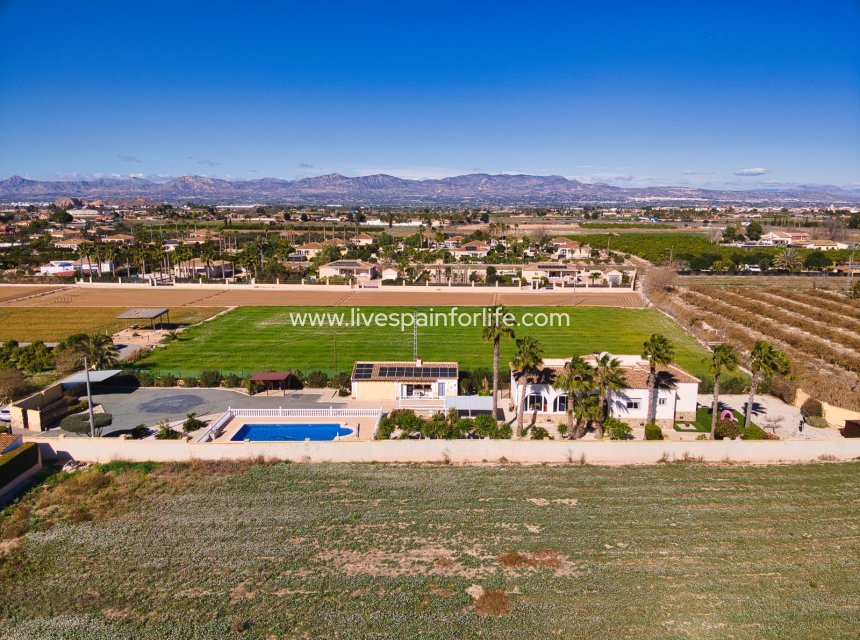 Reventa - Country house -
Catral