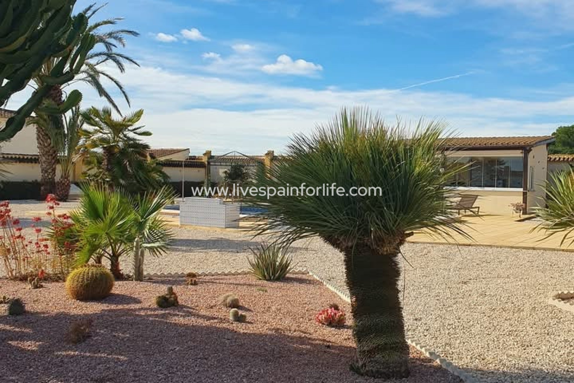 Reventa - Country house -
Catral