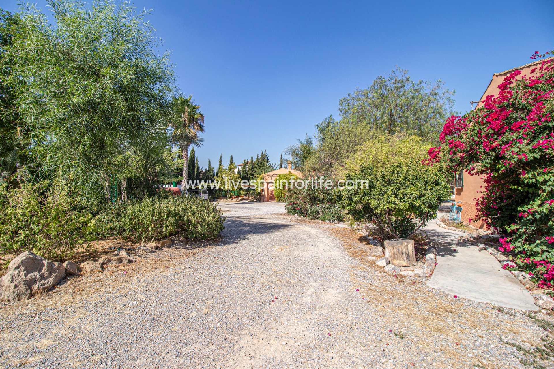 Reventa - Country house -
Catral