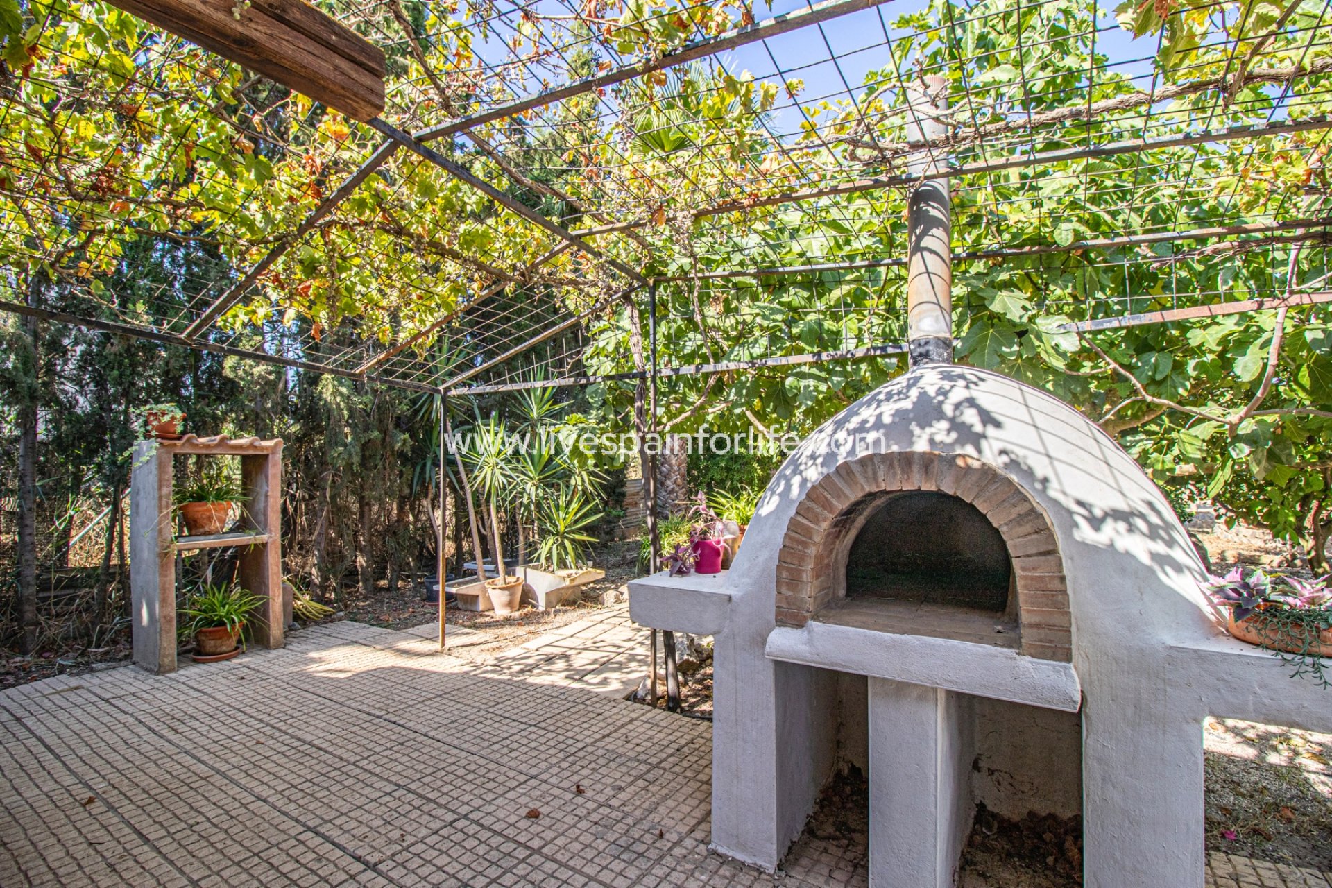 Reventa - Country house -
Catral