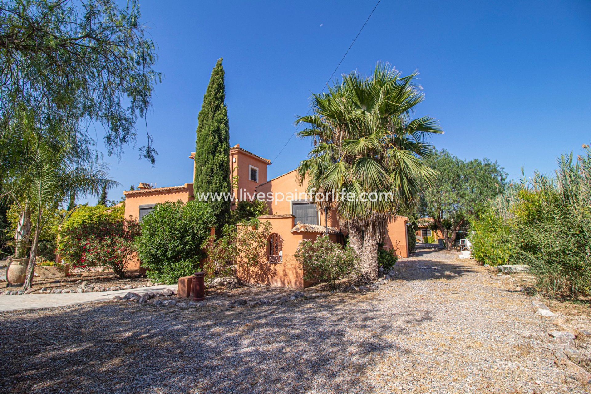 Reventa - Country house -
Catral