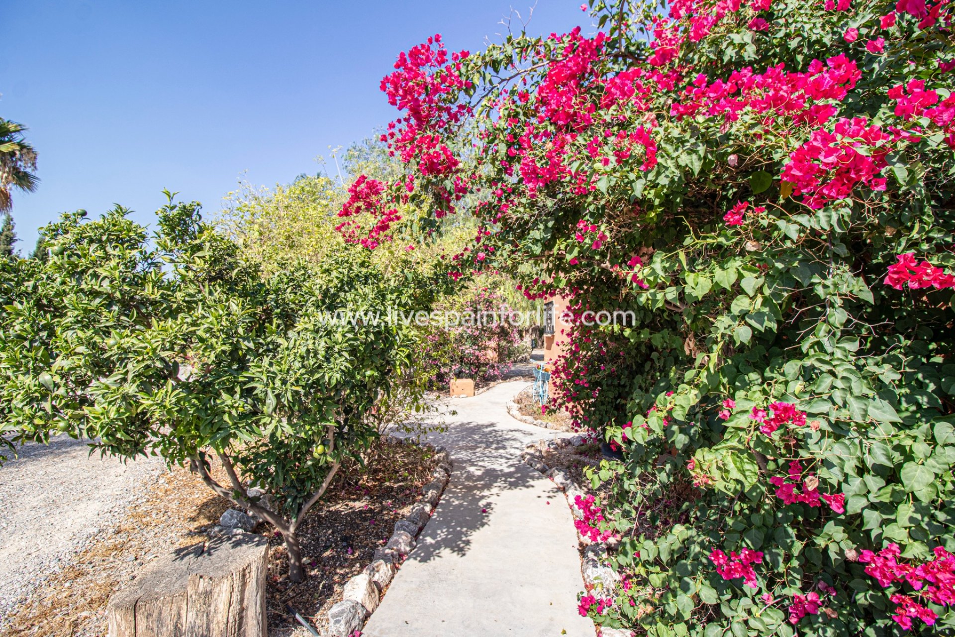 Reventa - Country house -
Catral