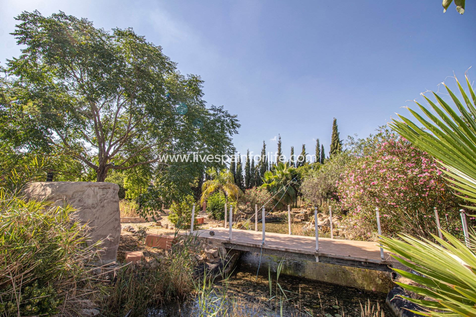 Reventa - Country house -
Catral