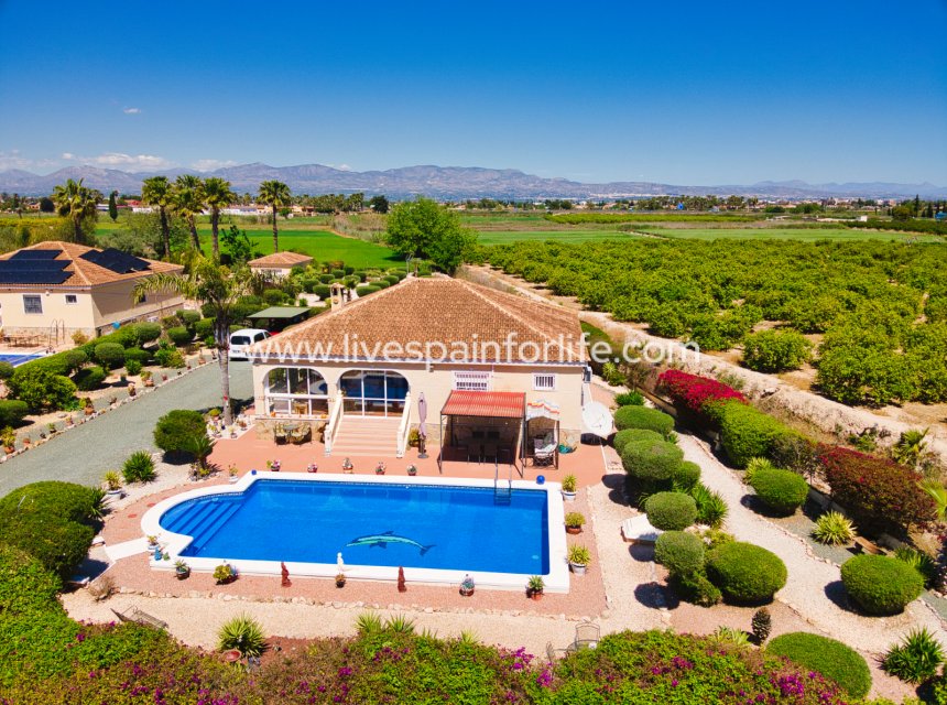 Reventa - Country house -
Catral