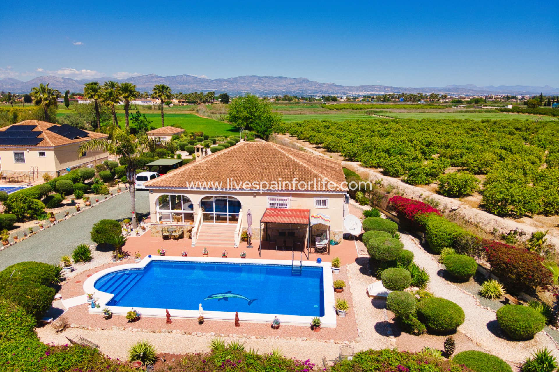 Reventa - Country house -
Catral