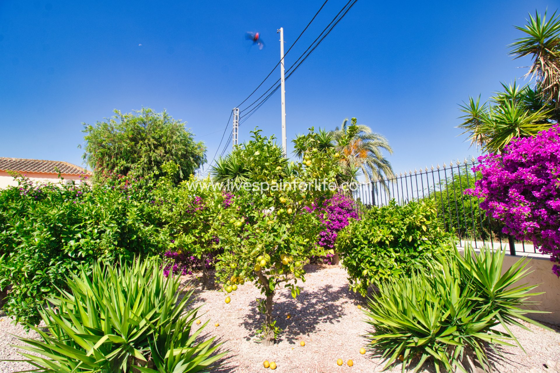 Reventa - Country house -
Catral