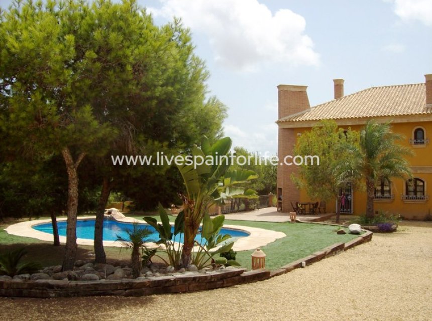 Reventa - Country house -
Ciudad Quesada - Lo Pepin