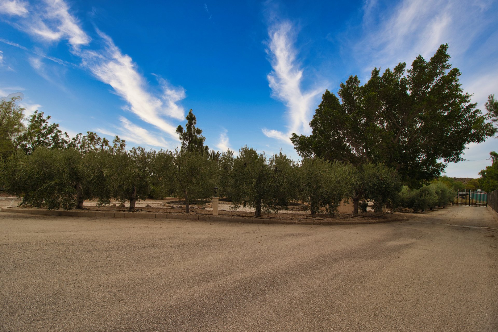 Reventa - Country house -
Crevillent