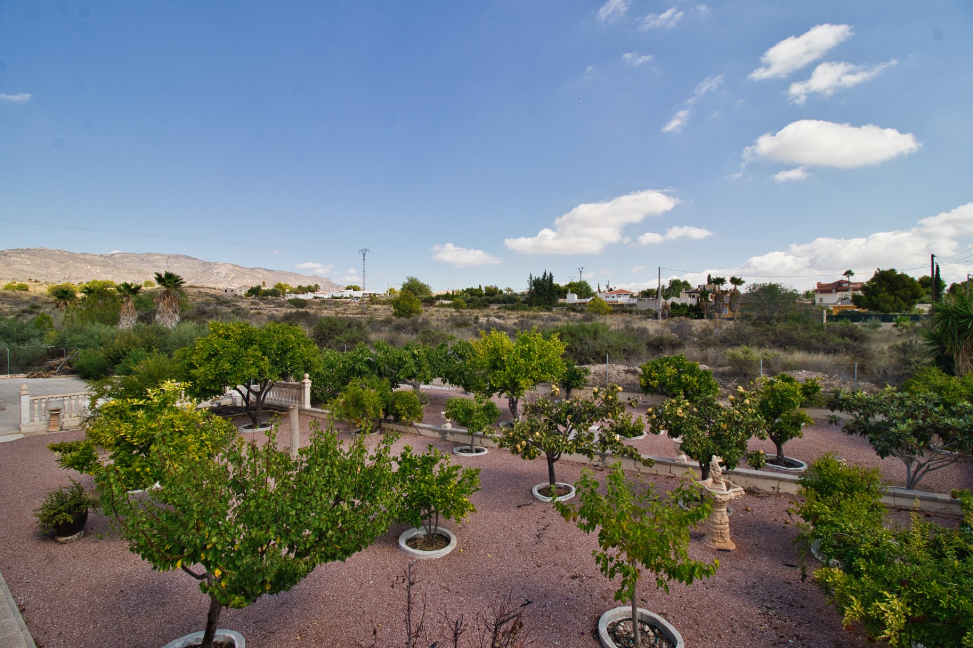 Reventa - Country house -
Crevillent