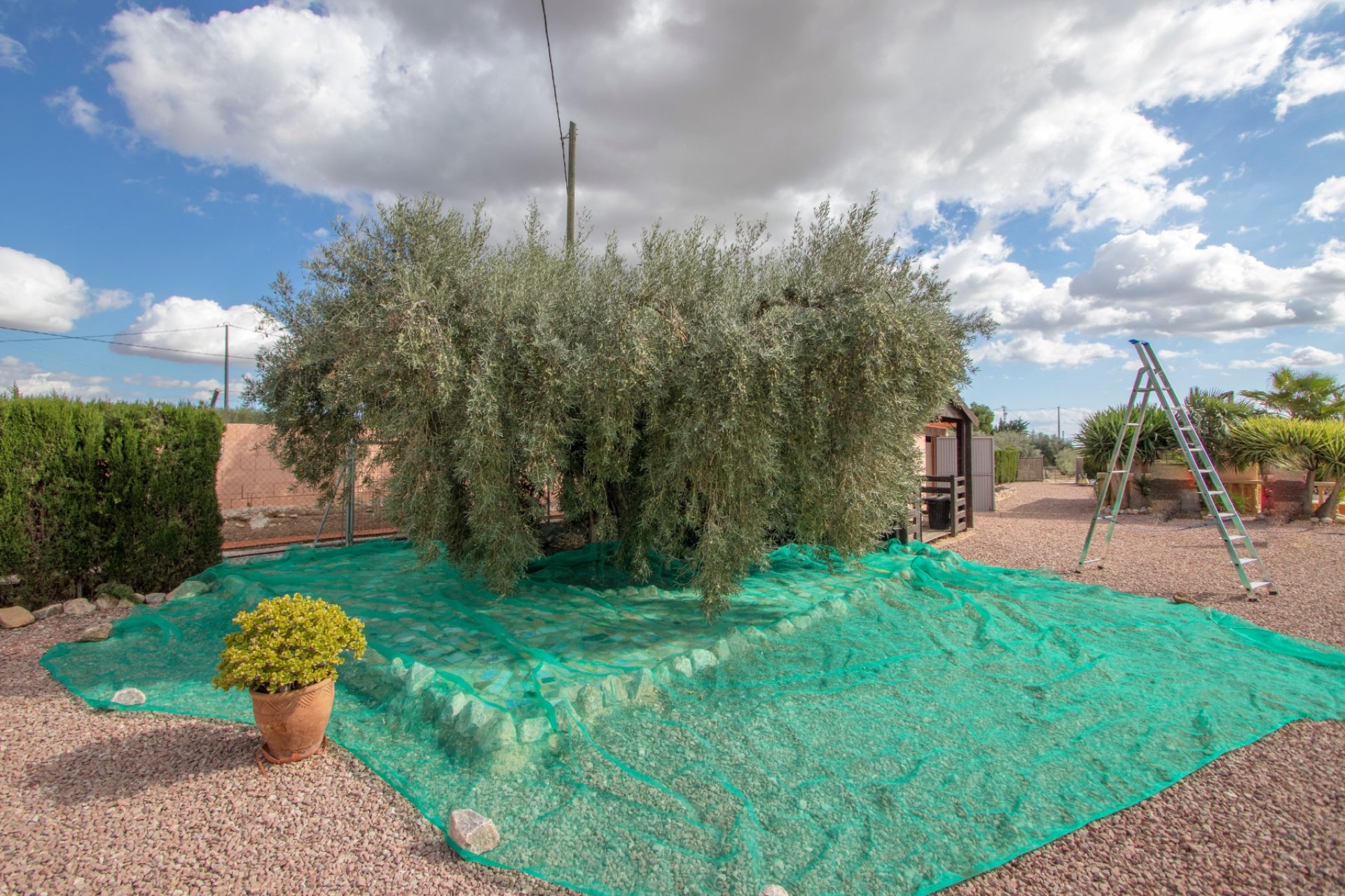 Reventa - Country house -
Crevillent