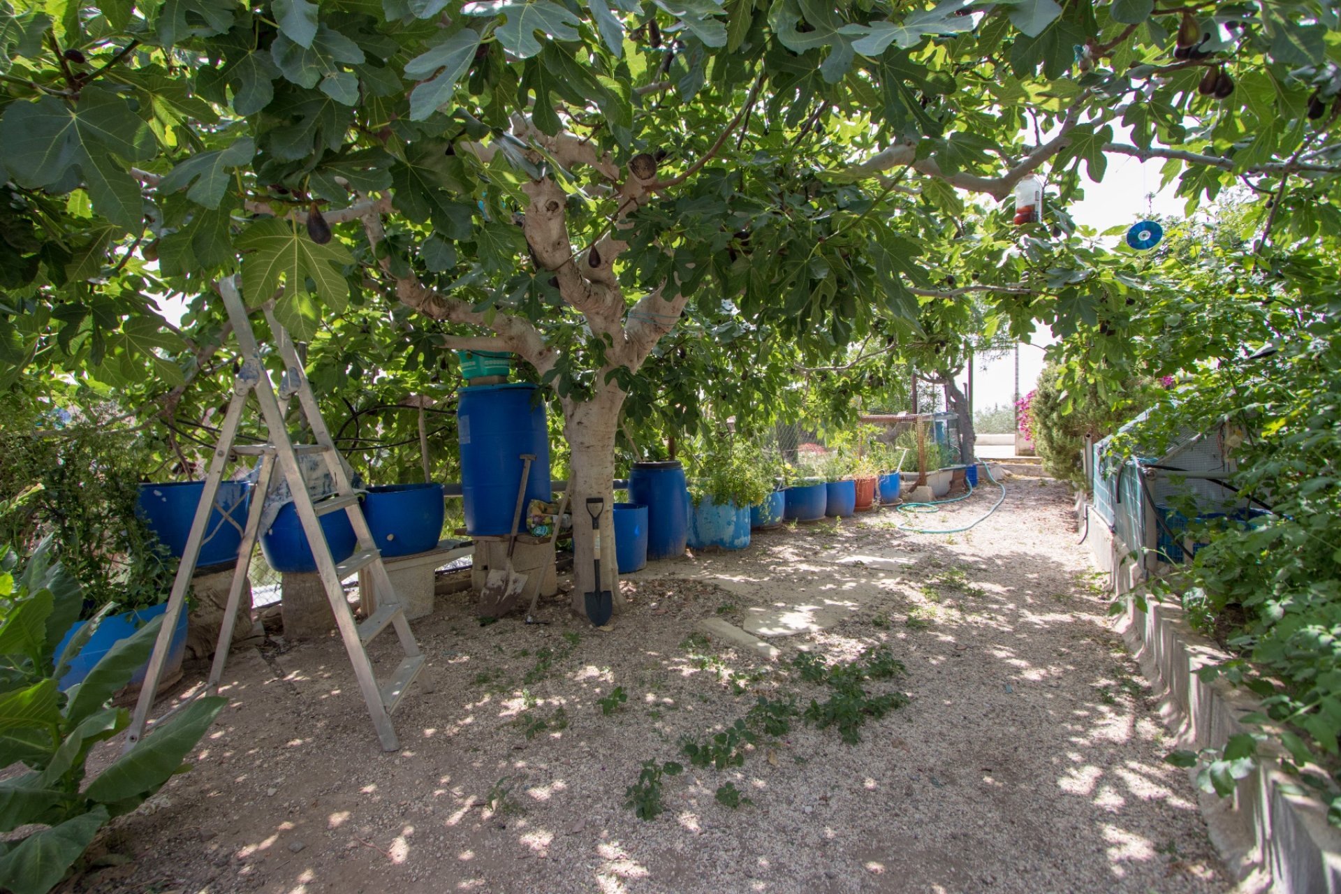 Reventa - Country house -
Crevillent