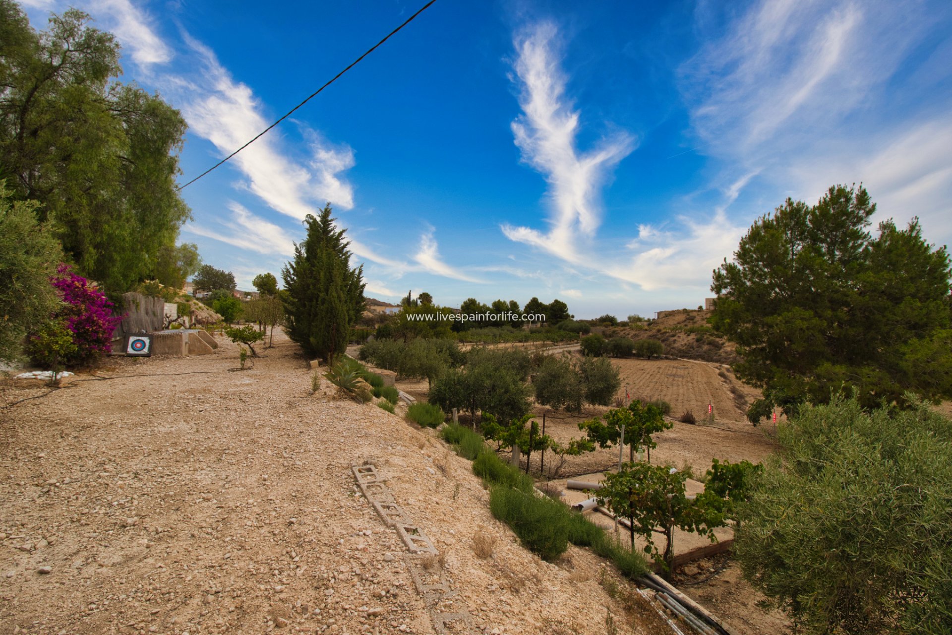 Reventa - Country house -
Crevillent