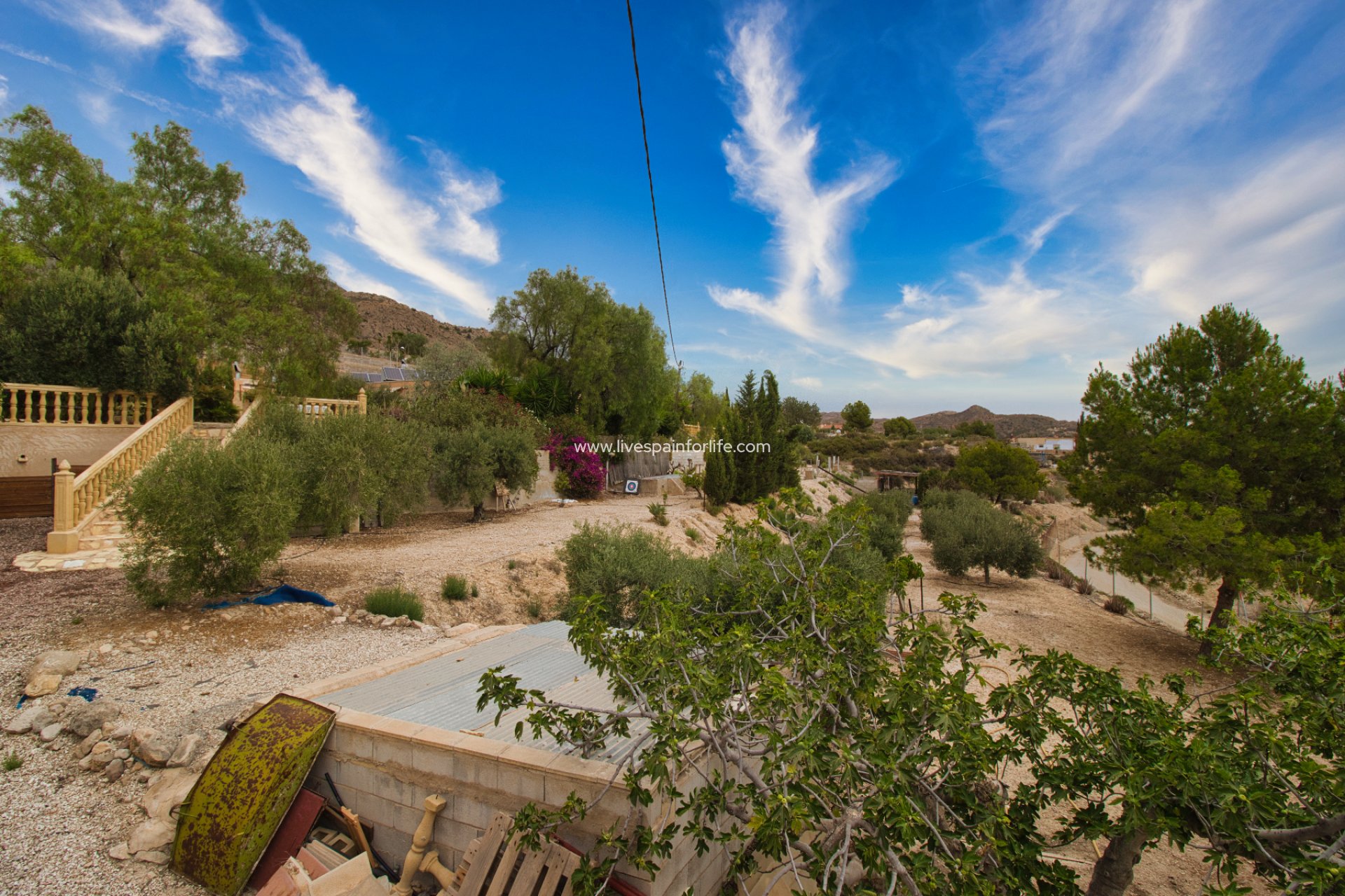 Reventa - Country house -
Crevillent