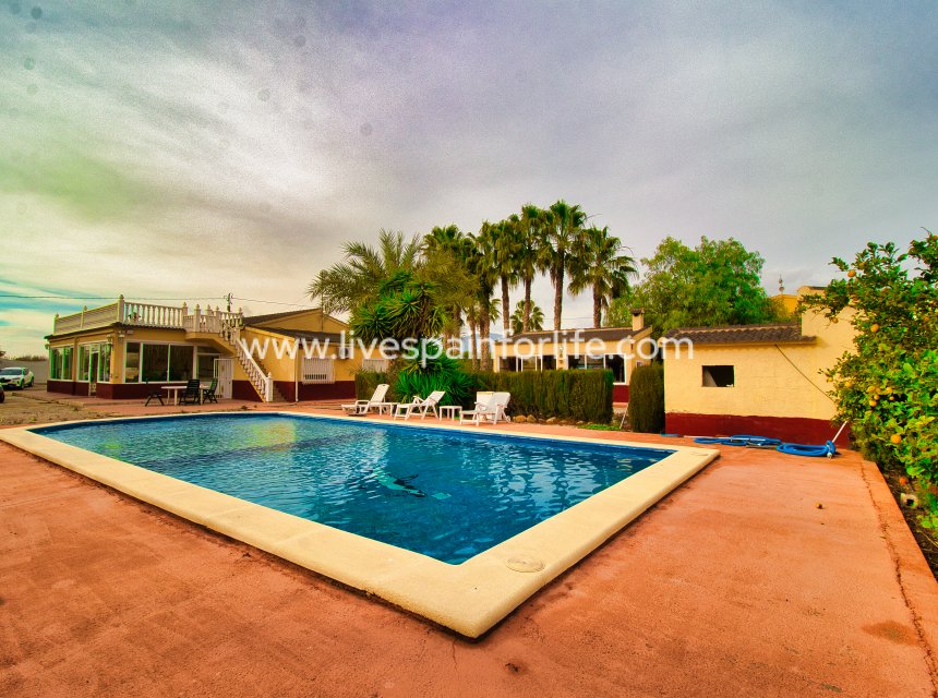 Reventa - Country house -
Crevillent