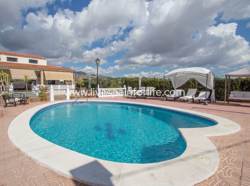 Reventa - Country house -
Crevillent