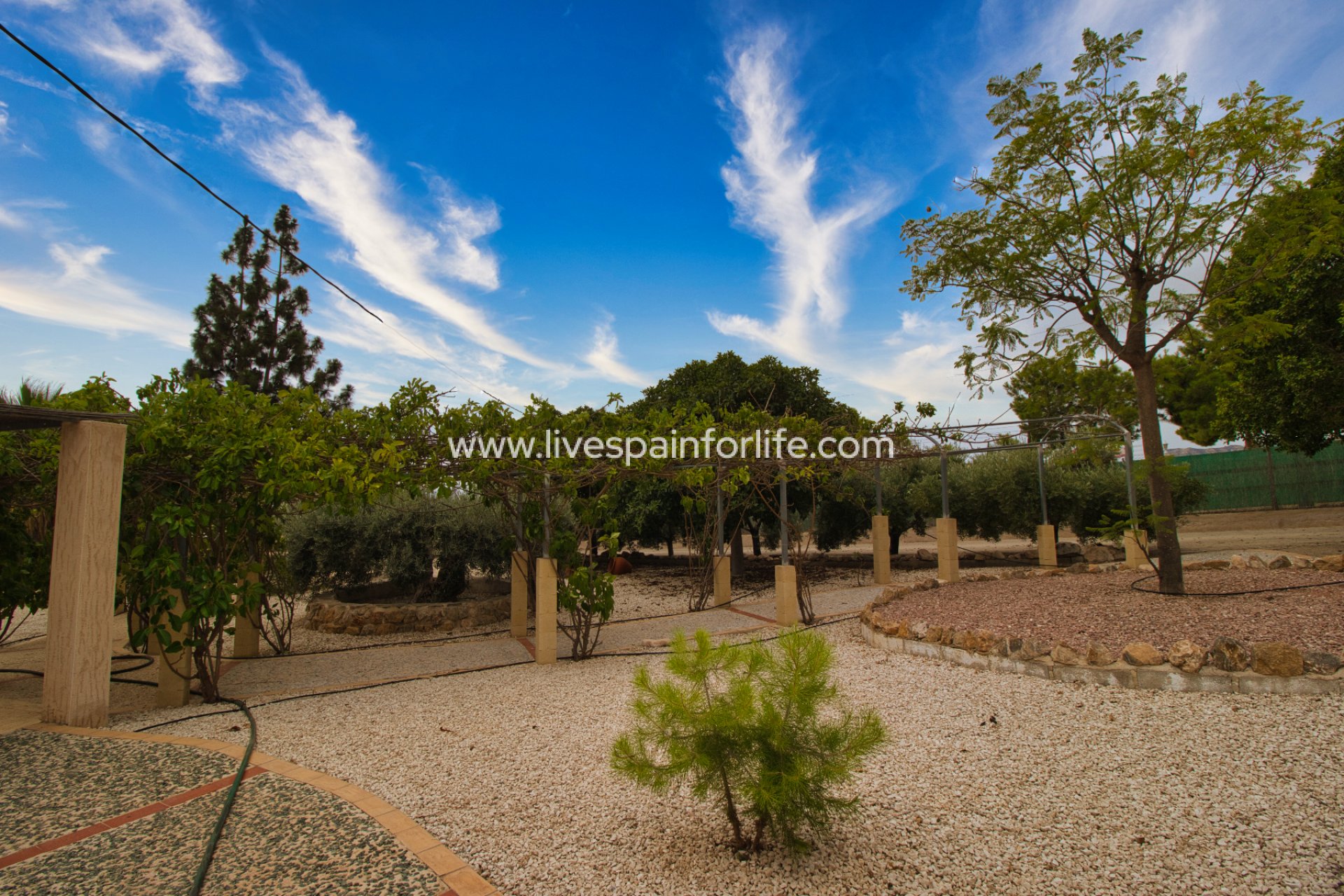 Reventa - Country house -
Crevillent