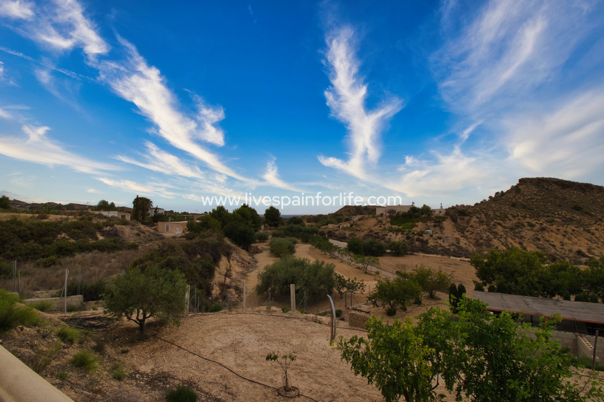 Reventa - Country house -
Crevillent