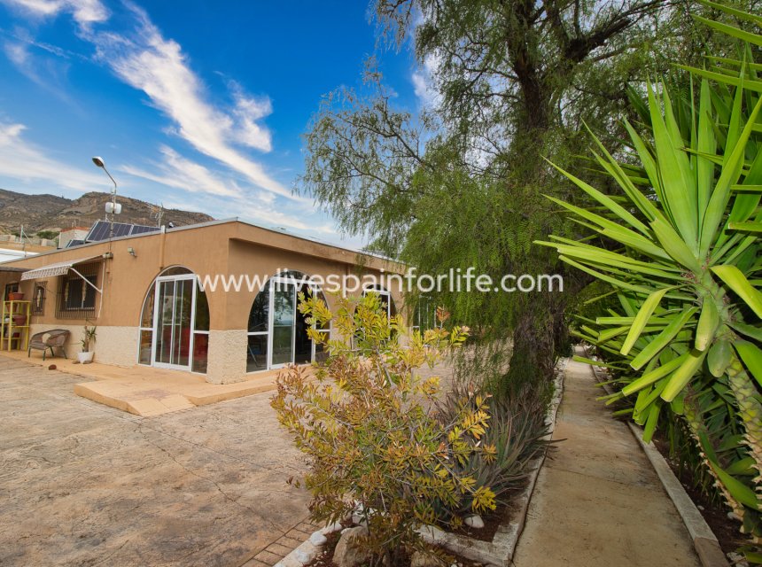 Reventa - Country house -
Crevillent