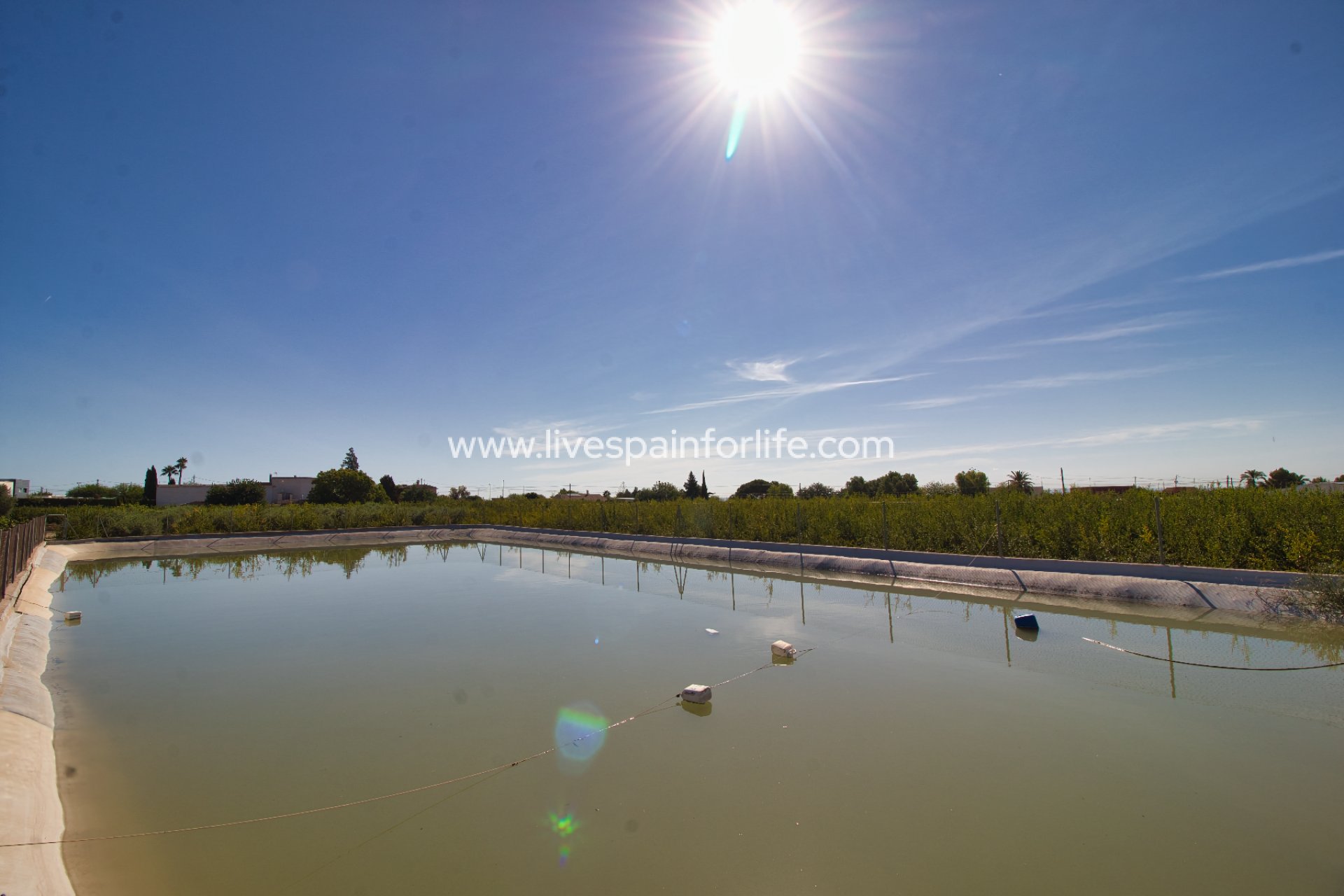 Reventa - Country house -
Crevillent