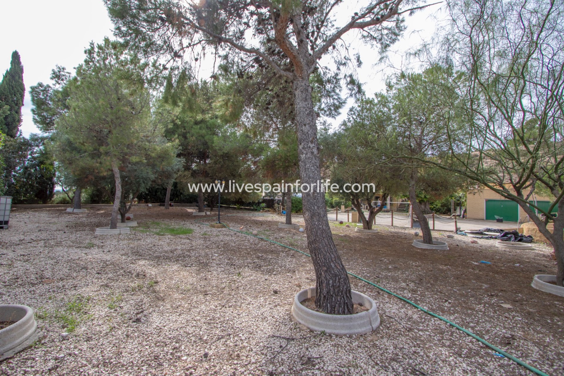 Reventa - Country house -
Crevillent