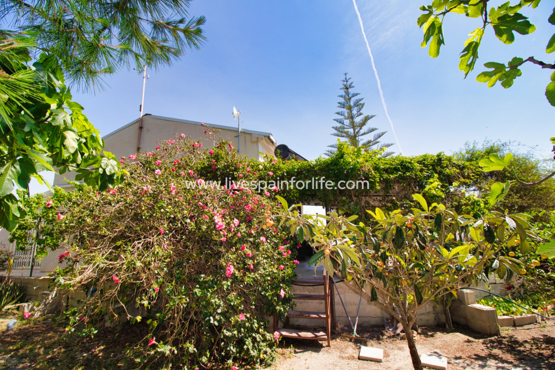 Reventa - Country house -
Dolores