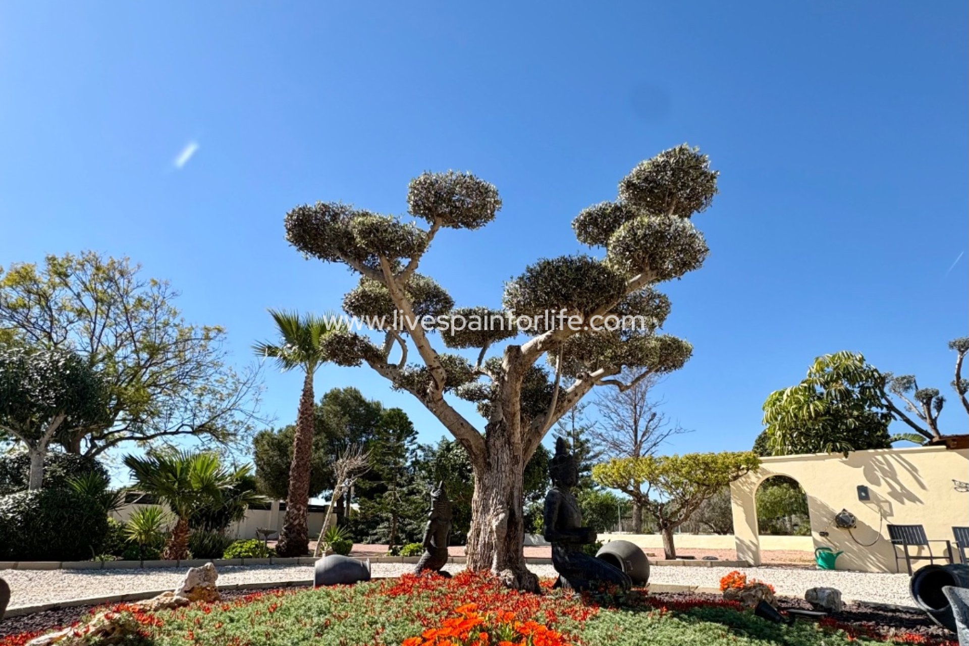 Reventa - Country house -
Dolores