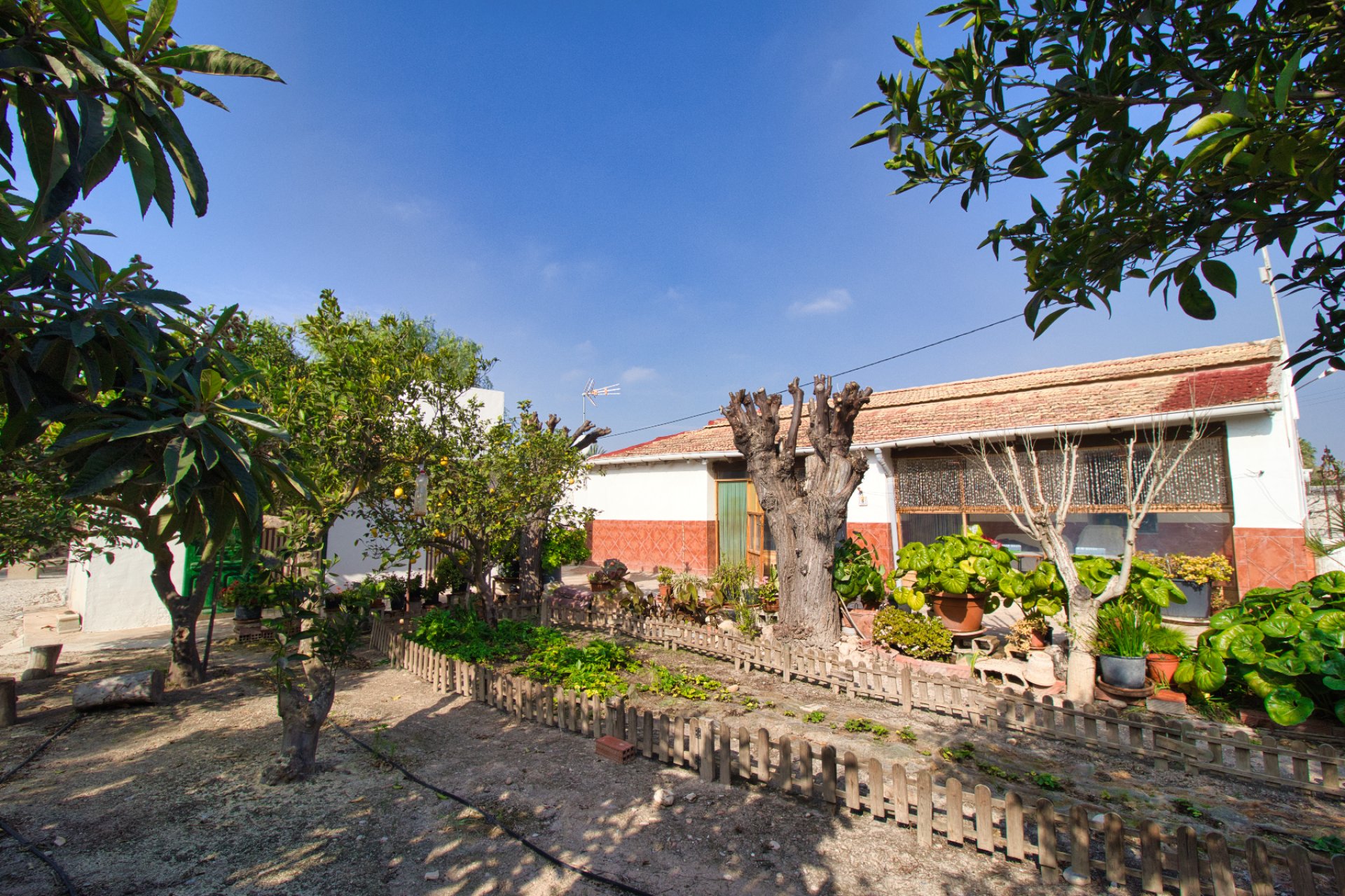 Reventa - Country house -
Elche