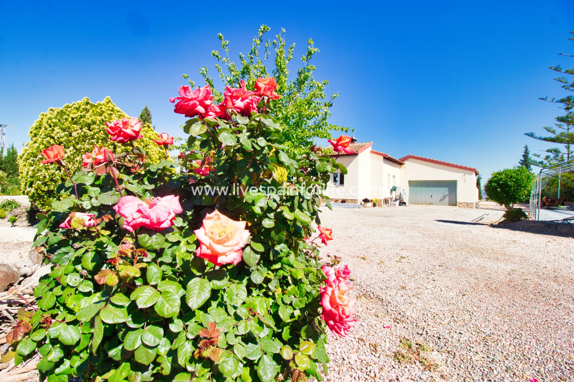 Reventa - Country house -
Formentera Del Segura