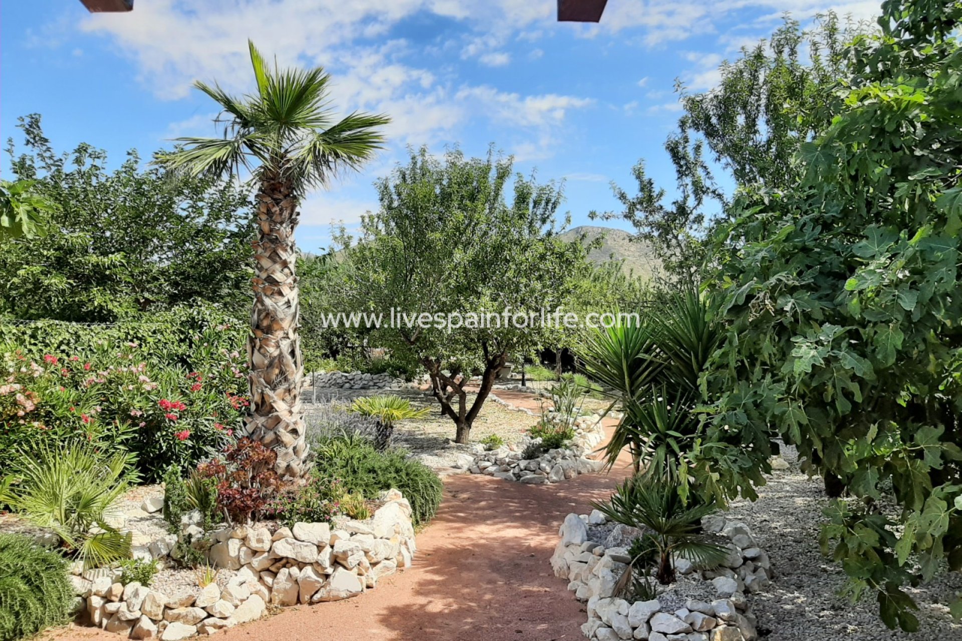 Reventa - Country house -
Hondon De Las Nieves - Hondon De Los Frailes