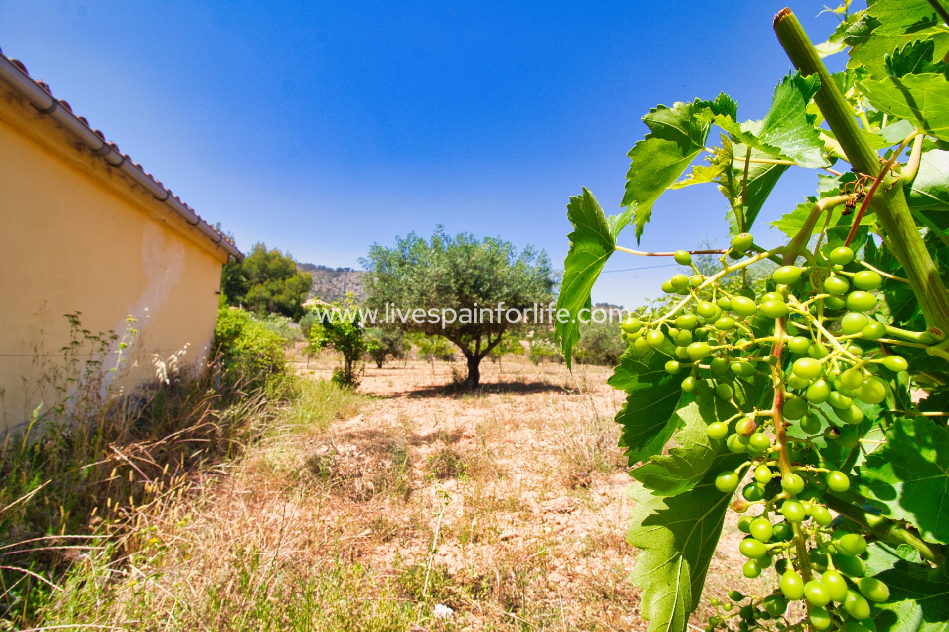 Reventa - Country house -
Hondon De Las Nieves