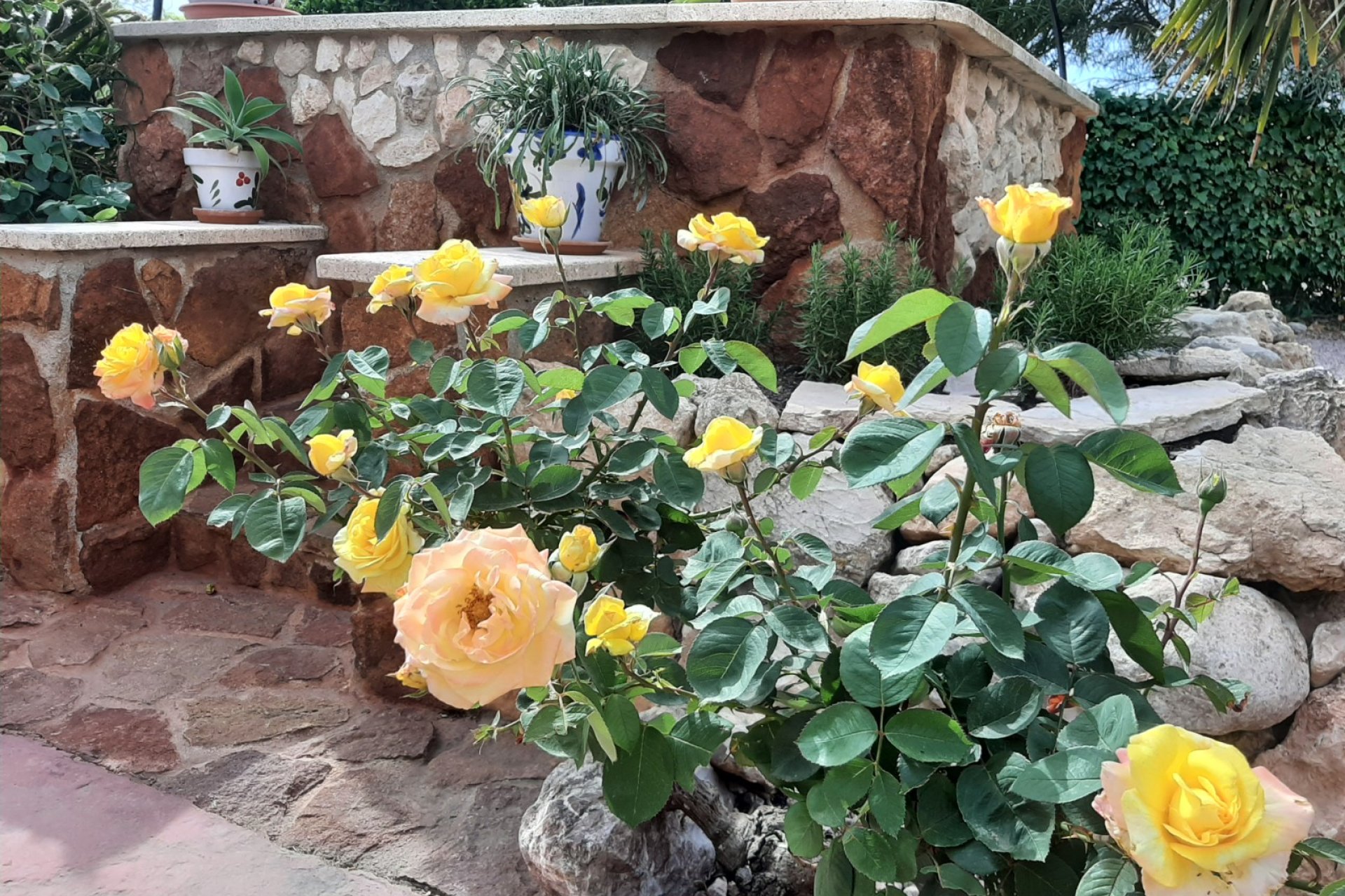 Reventa - Country house -
Hondon De Los Frailes