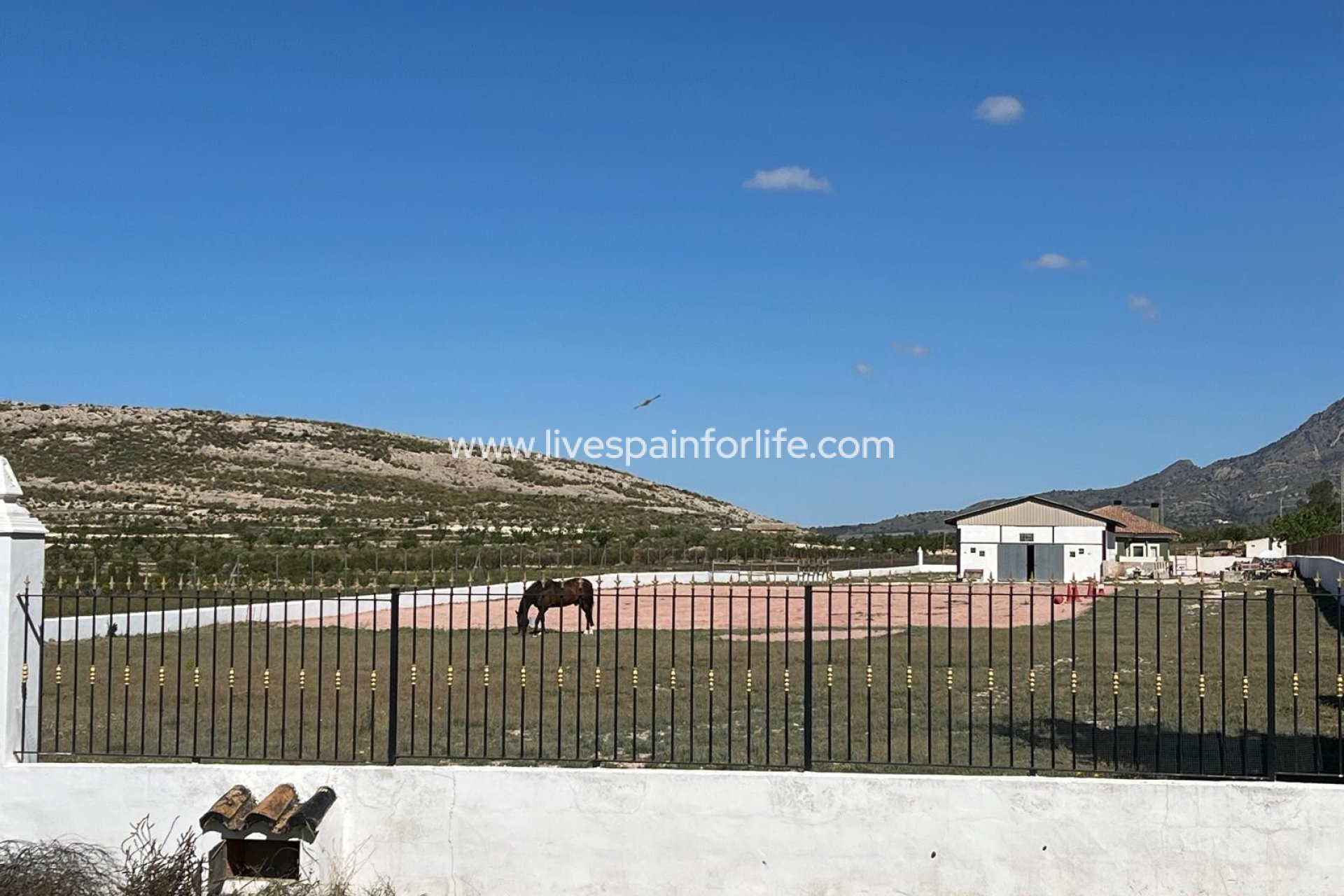 Reventa - Country house -
Jumilla - Torre del Rico