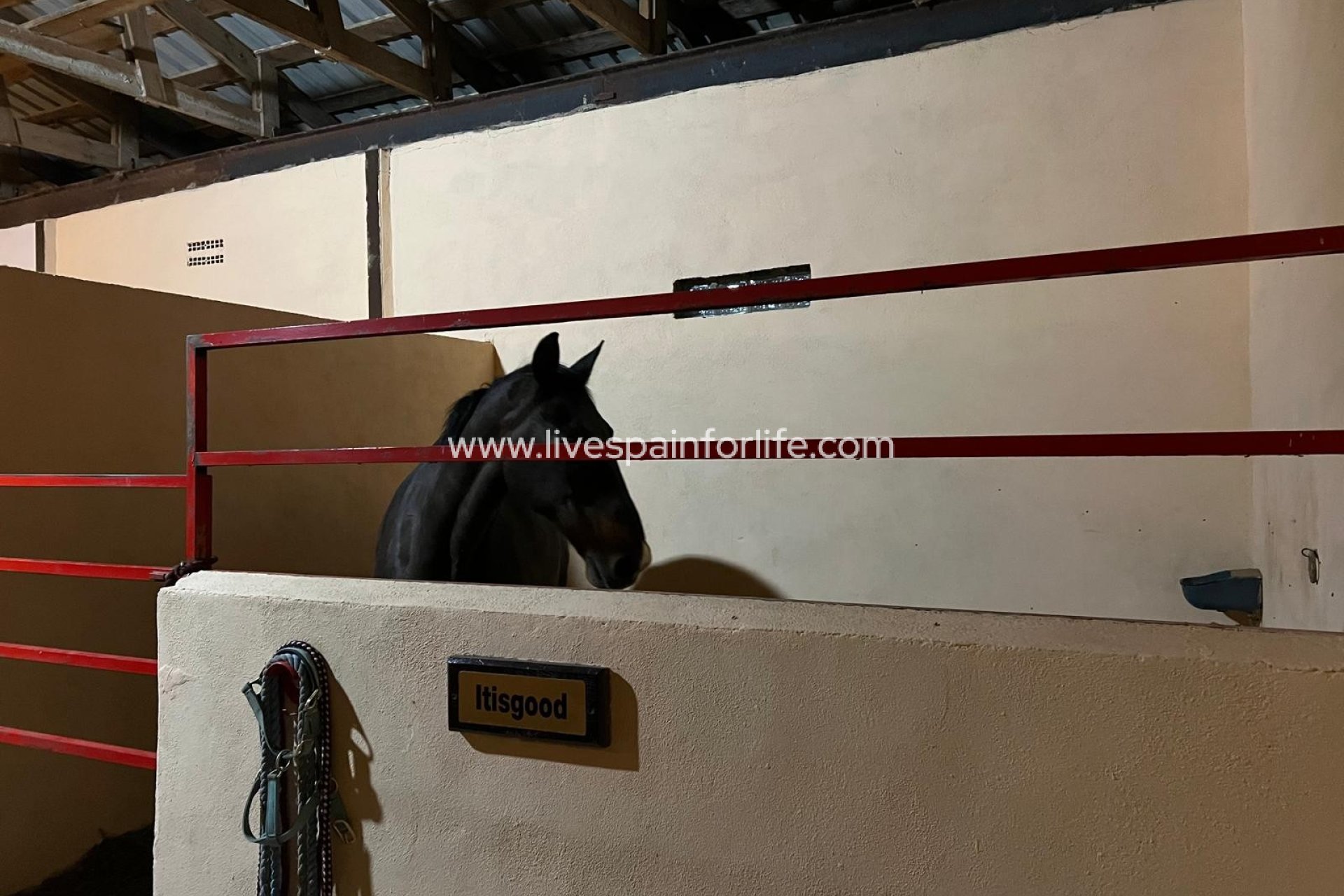 Reventa - Country house -
Jumilla - Torre del Rico