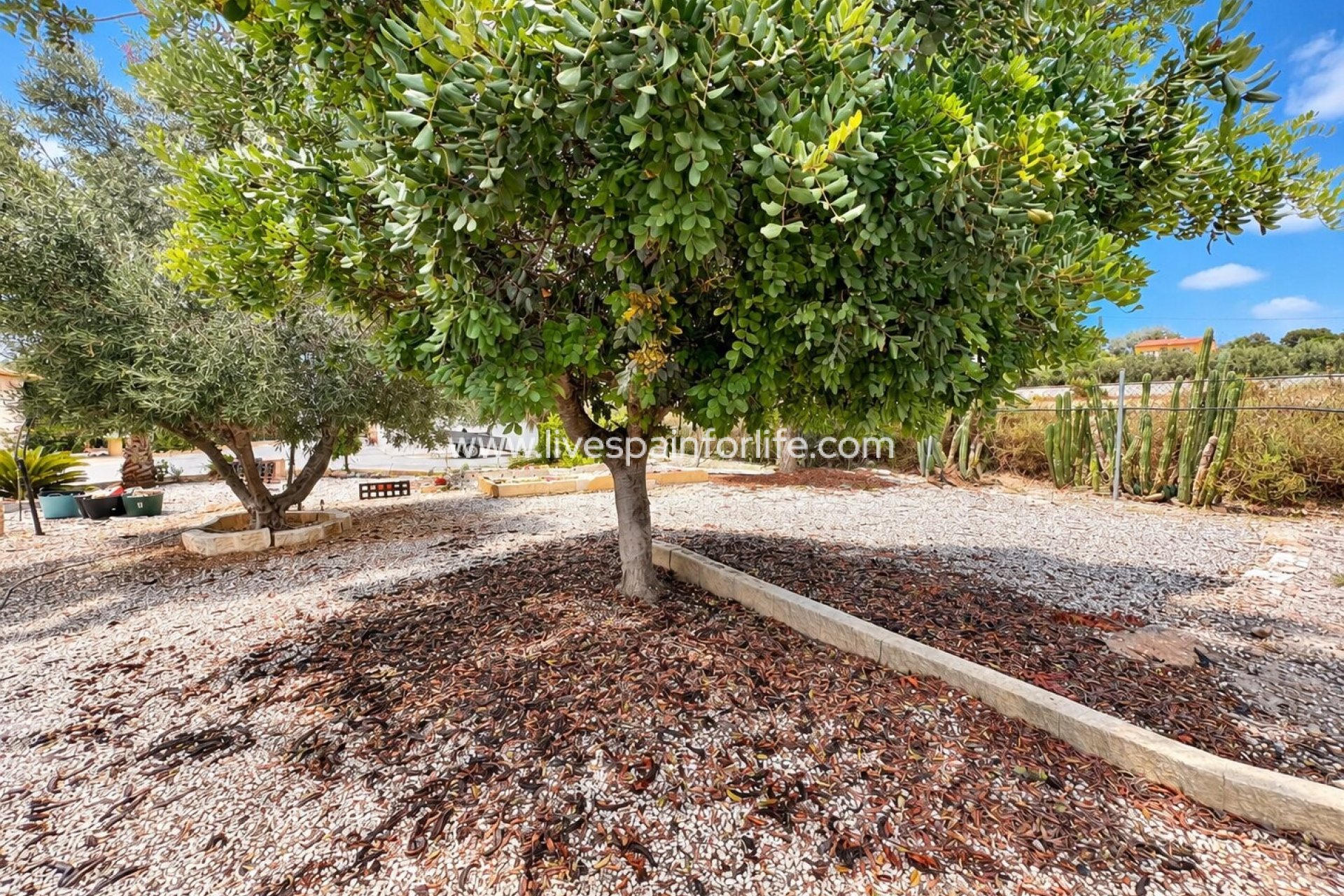 Reventa - Country house -
La Marina - La Marina - Country