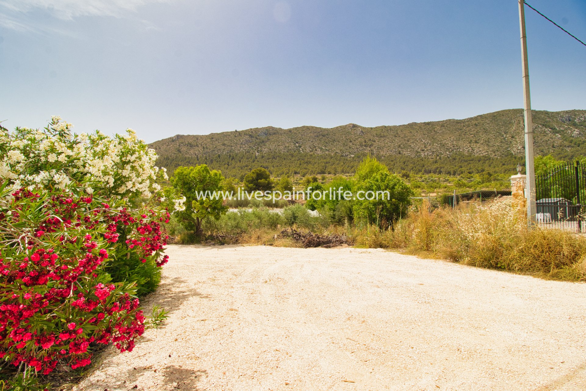 Reventa - Country house -
La Romana