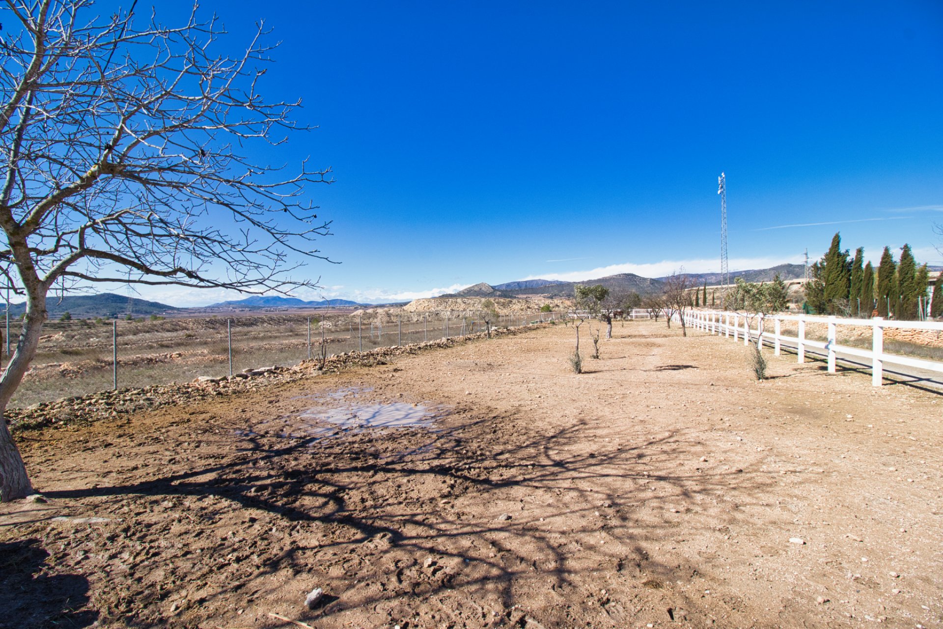 Reventa - Country house -
Monovar - Monóver