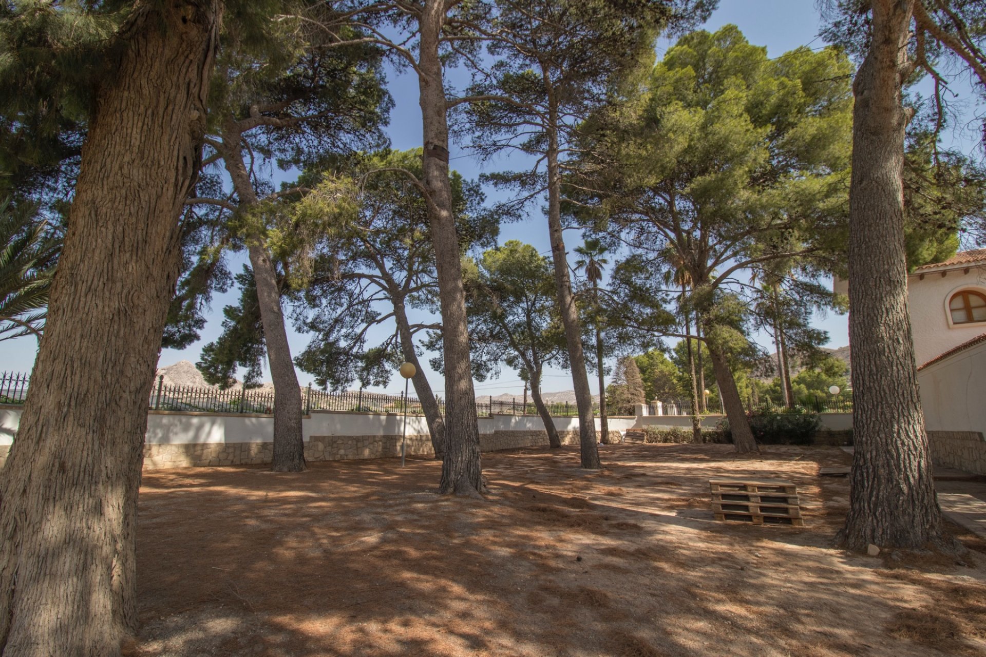 Reventa - Country house -
Novelda