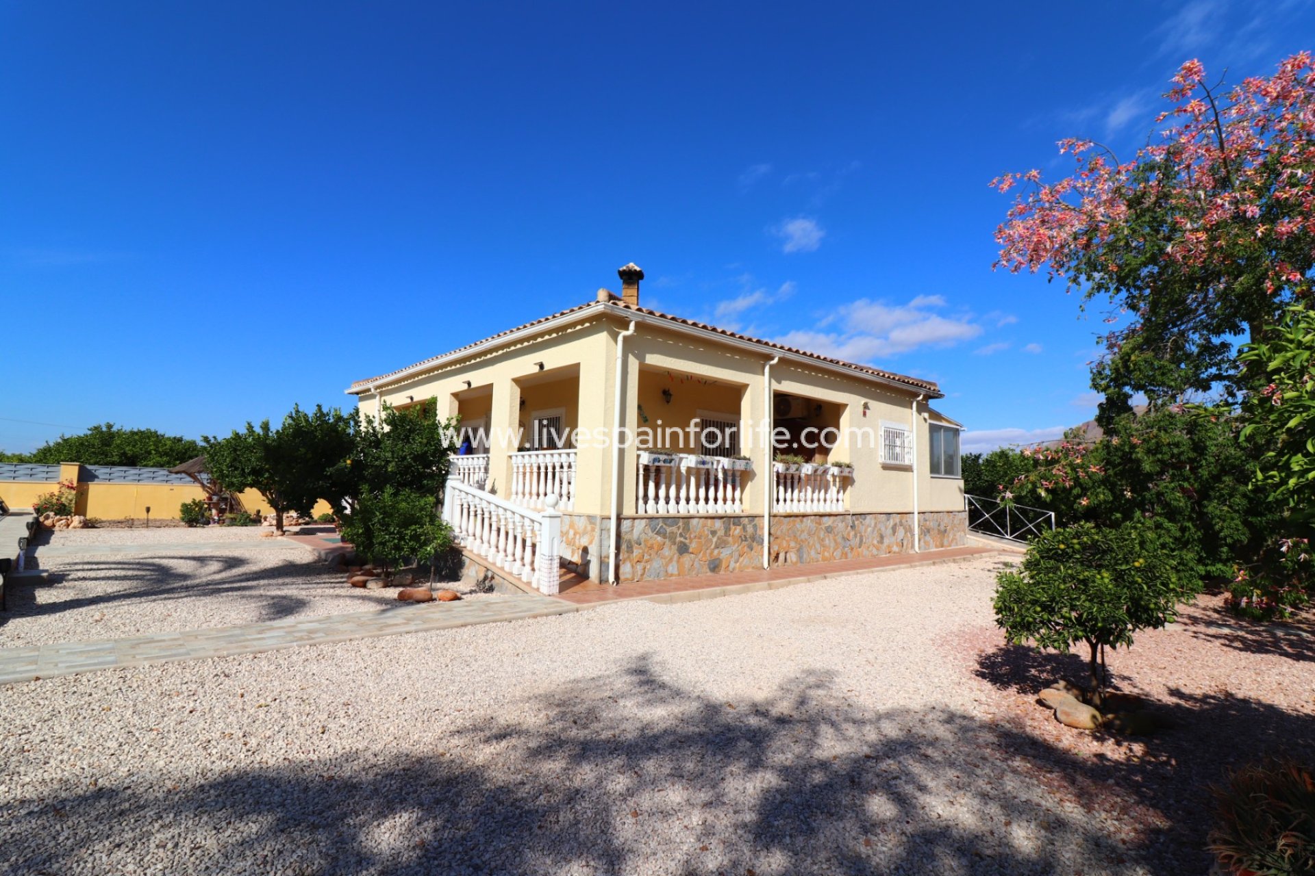 Reventa - Country house -
Orihuela - La Campaneta