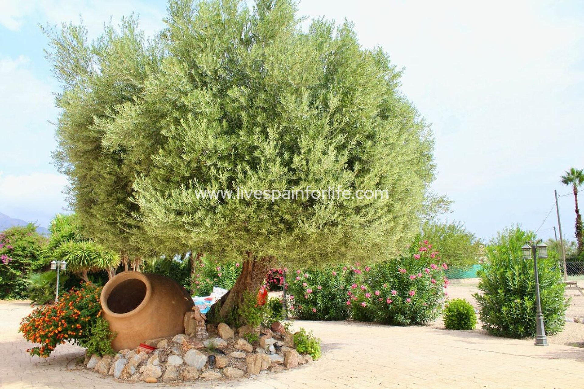 Reventa - Country house -
Orihuela - San Bartolome