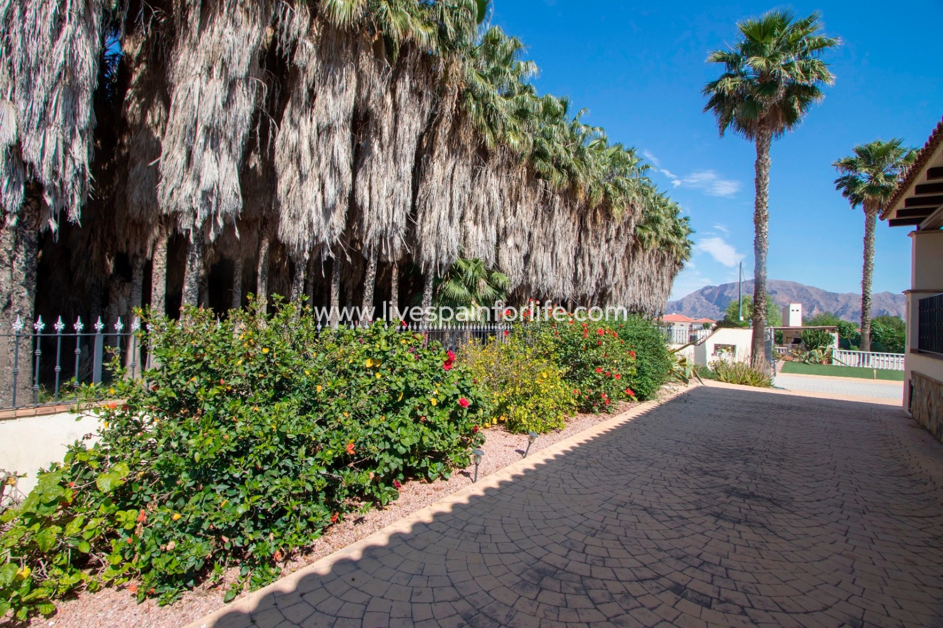 Reventa - Country house -
Orihuela