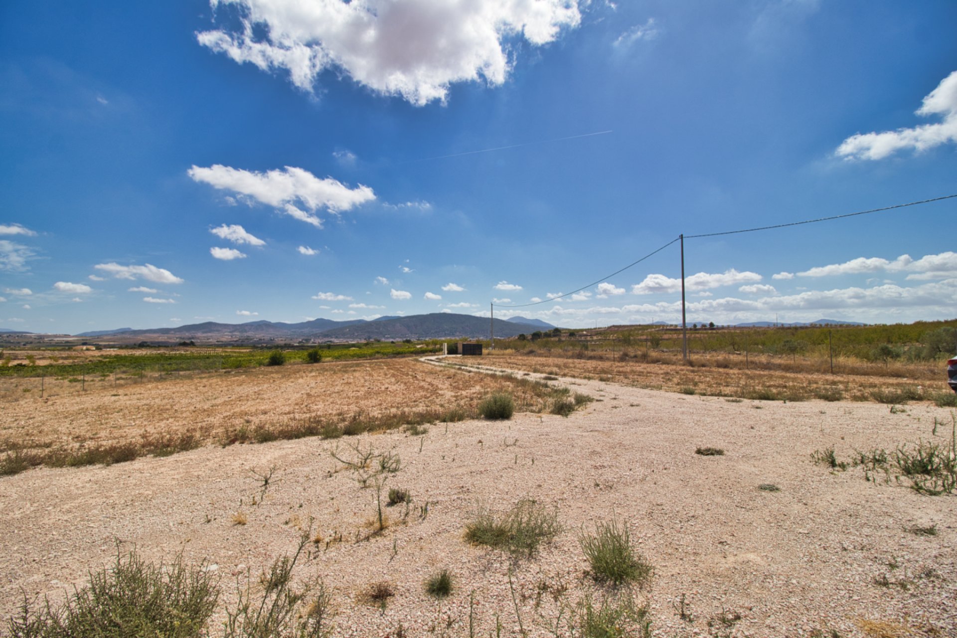 Reventa - Country house -
Pinoso