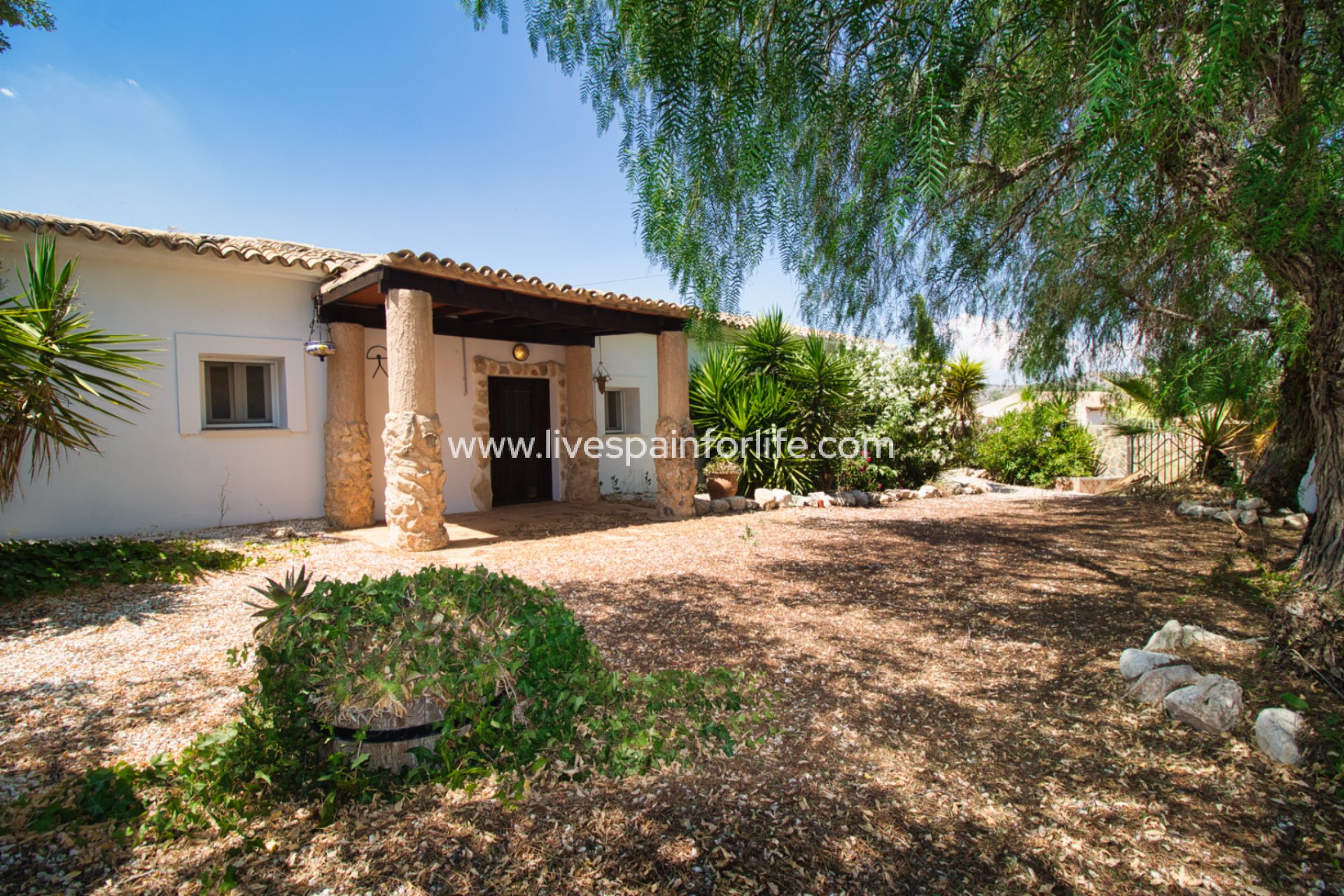 Reventa - Country house -
Pinoso
