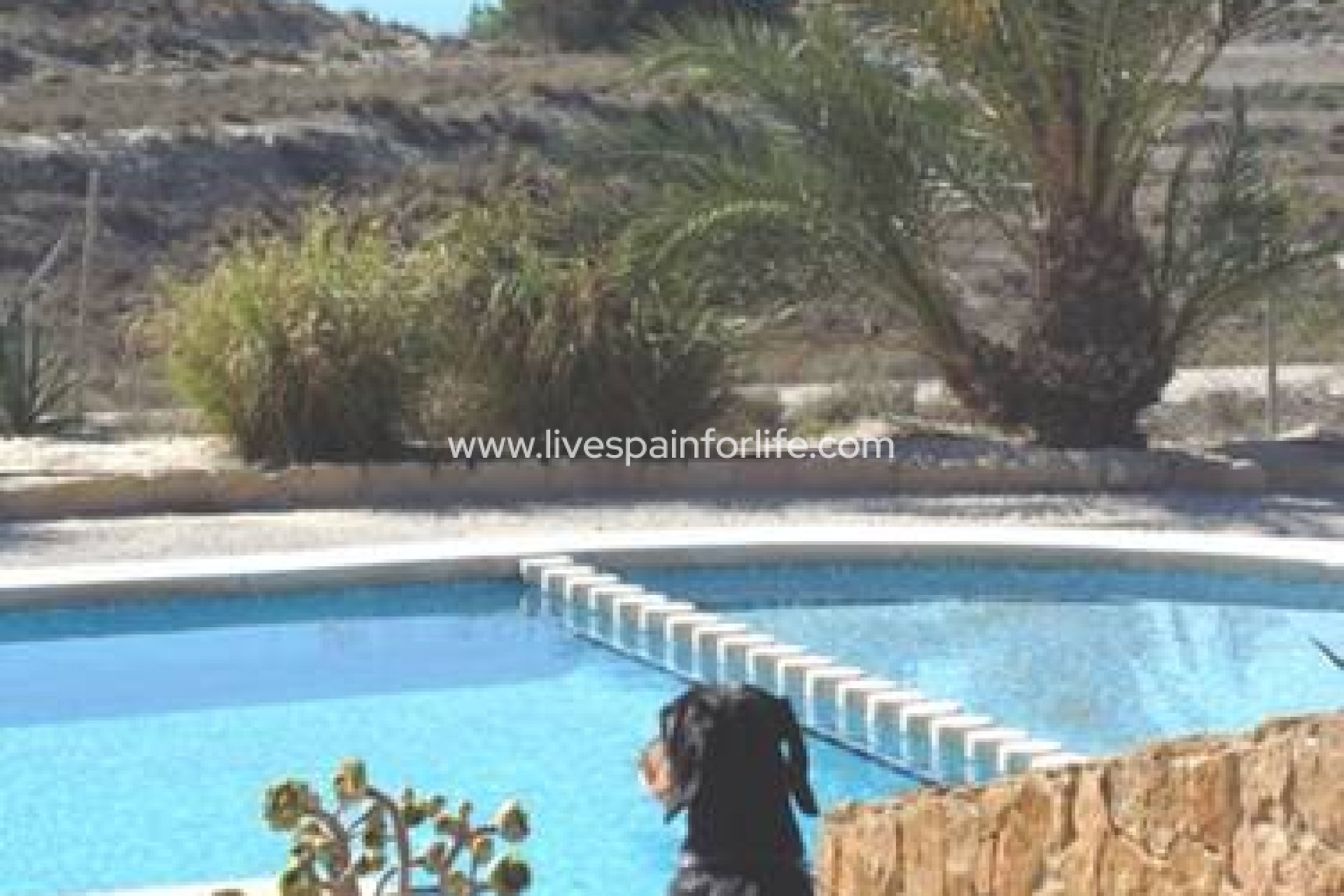 Reventa - Country house -
Torremendo