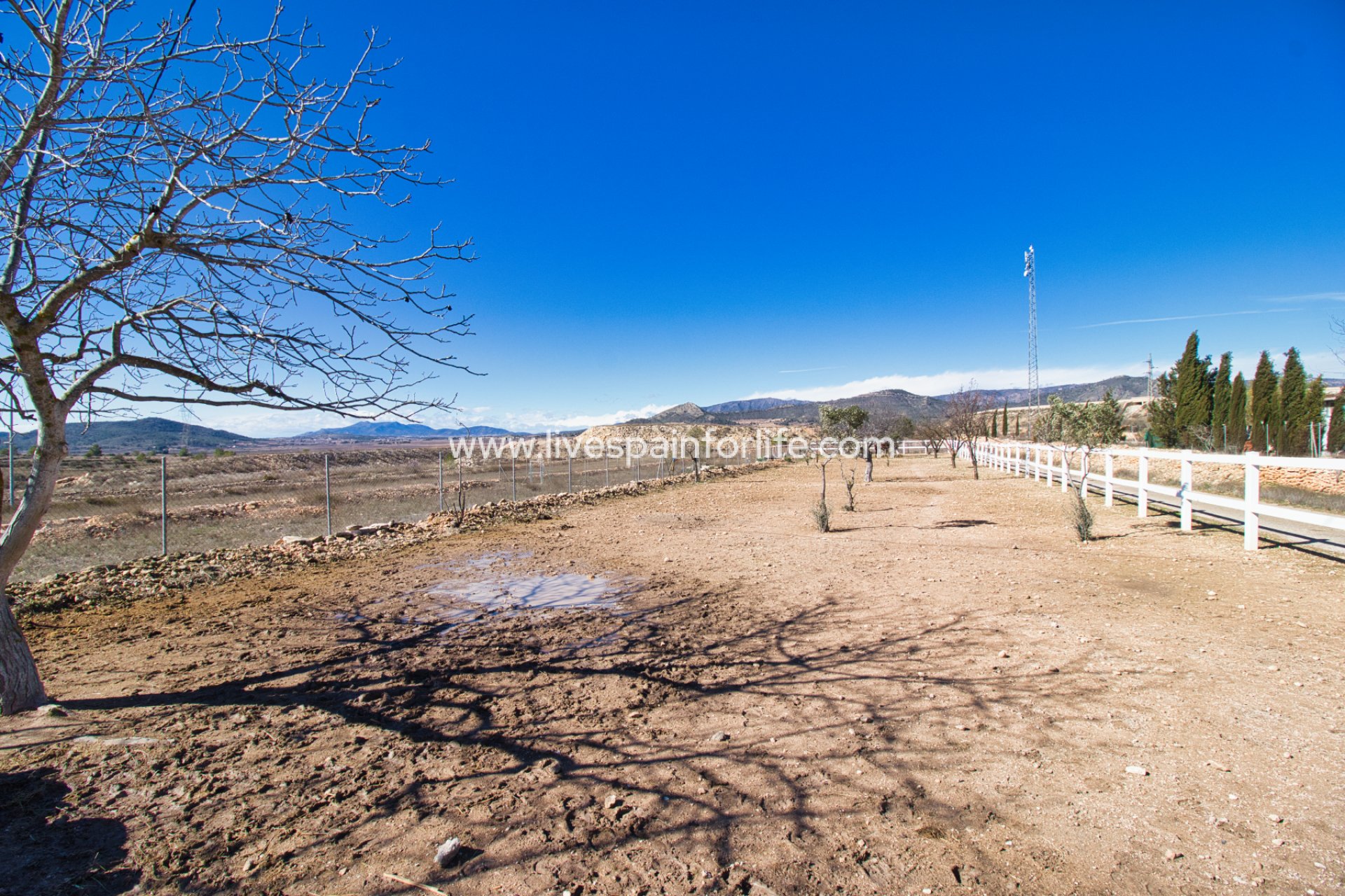 Reventa - Equestrian -
Alicante