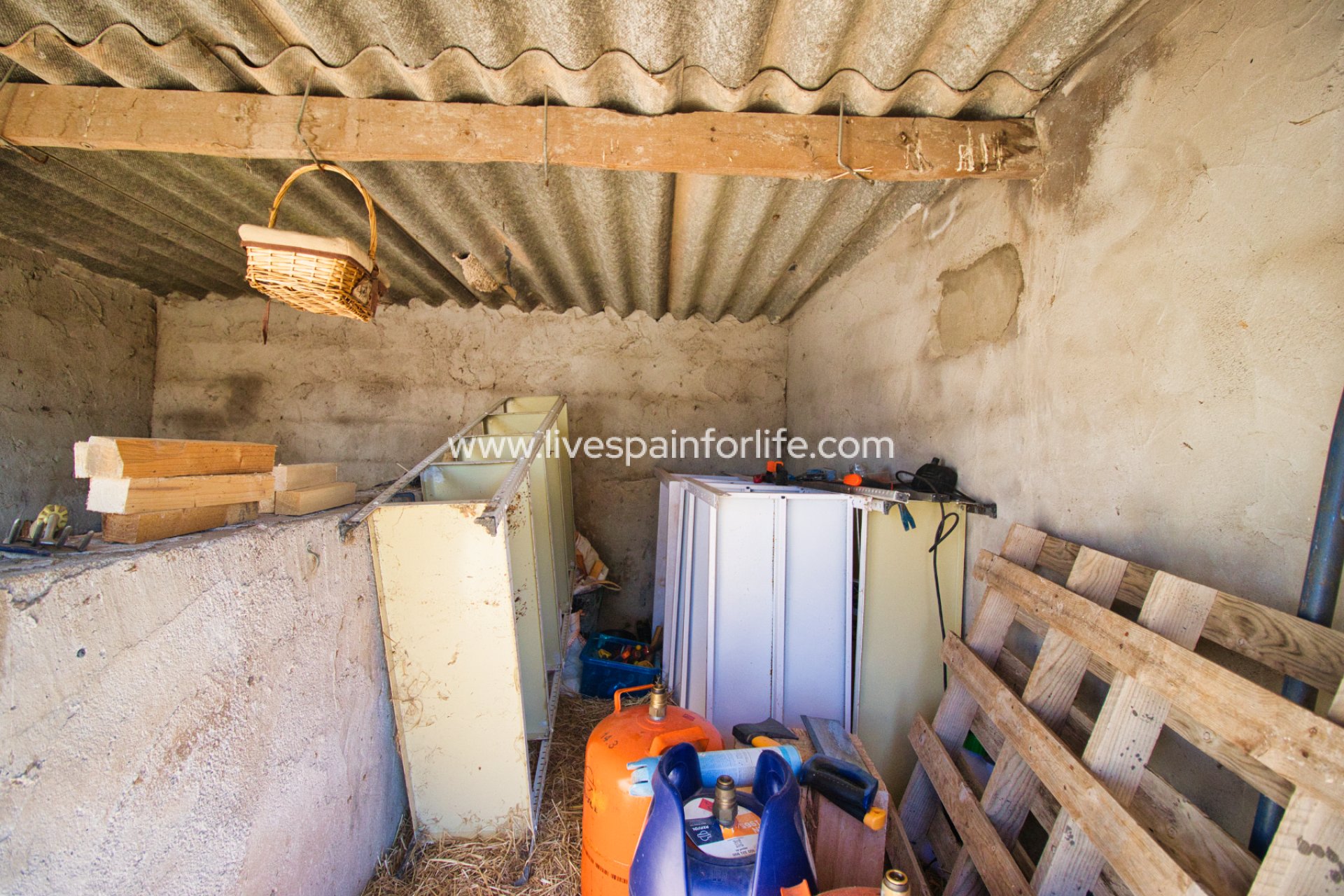 Reventa - Equestrian -
Alicante