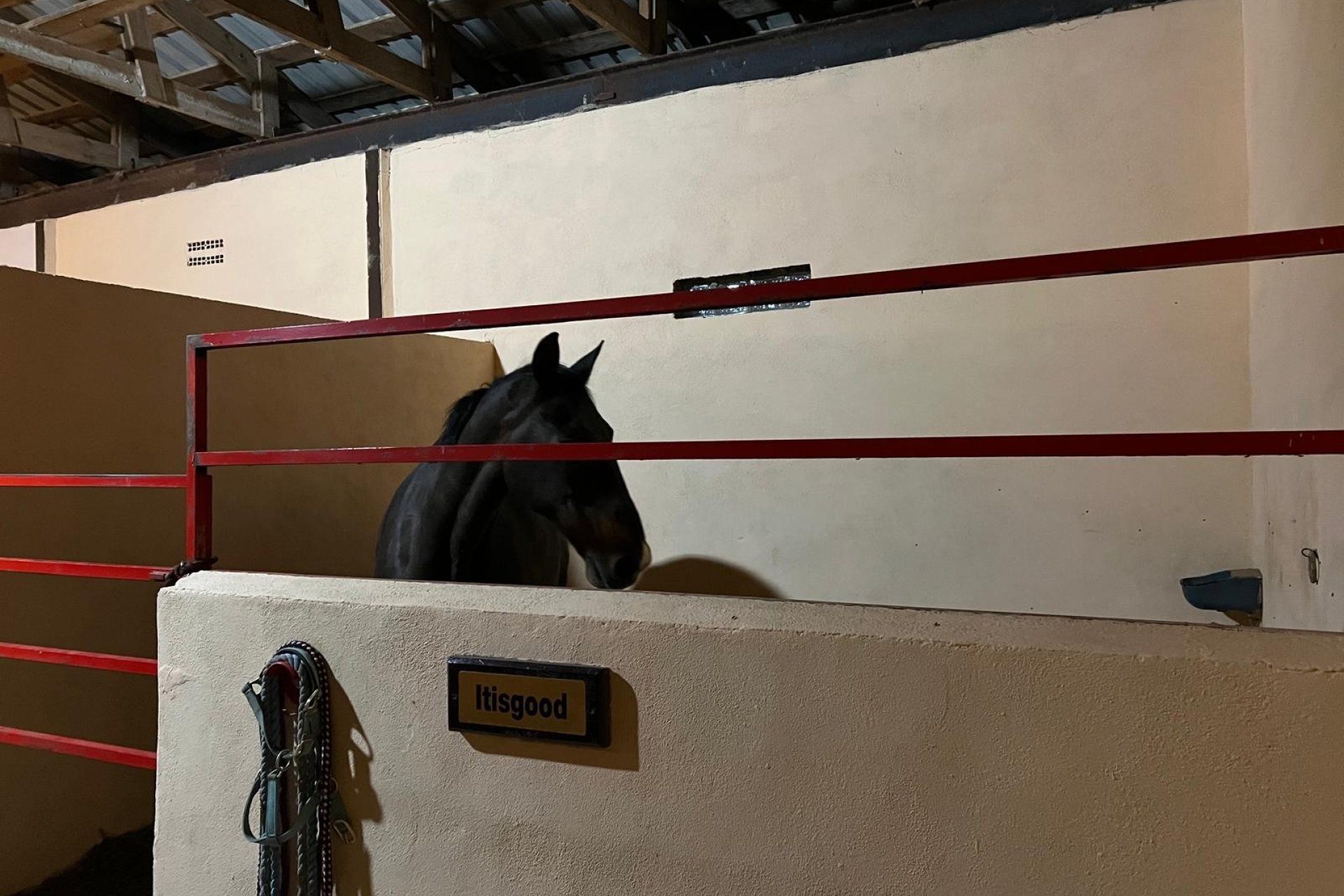 Reventa - Equestrian -
Jumilla - Torre del Rico